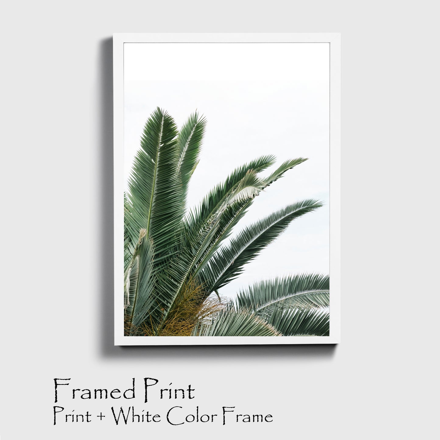 Palm leaves print in white color frame.