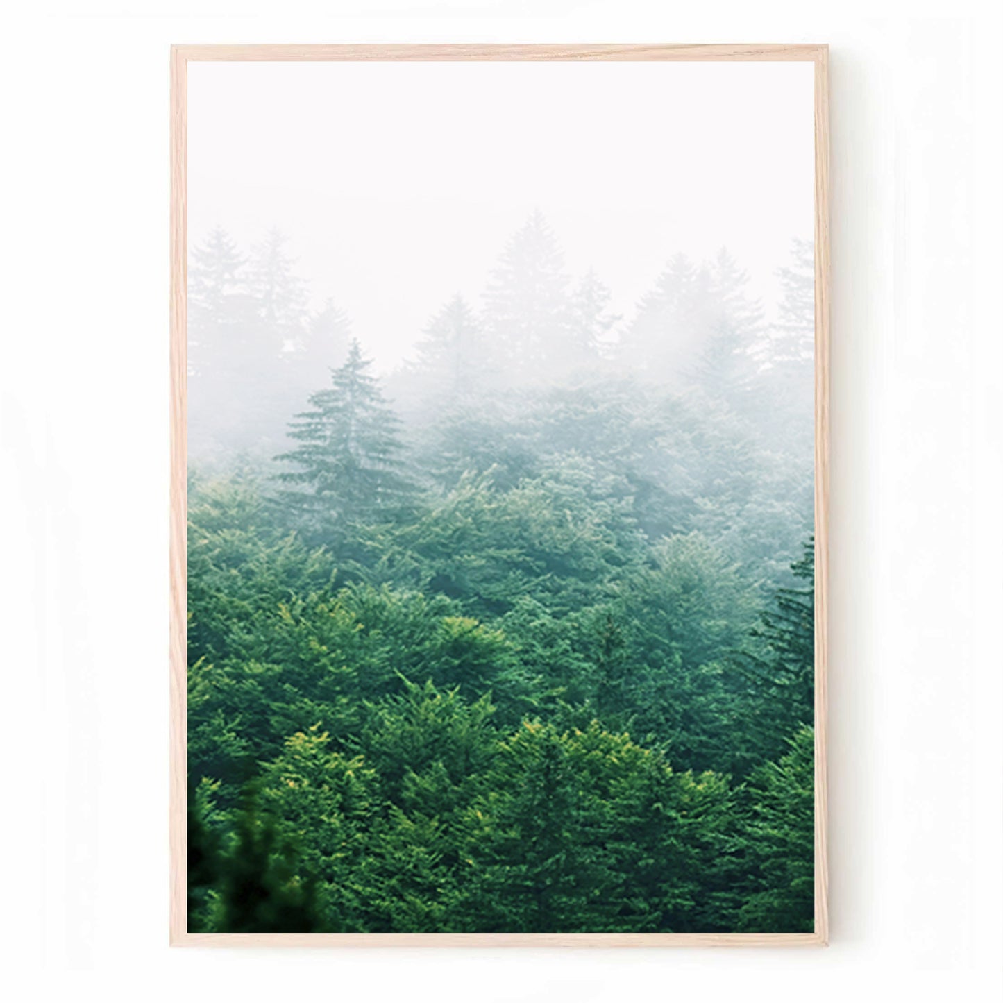 Morning forest print in woos color frame.