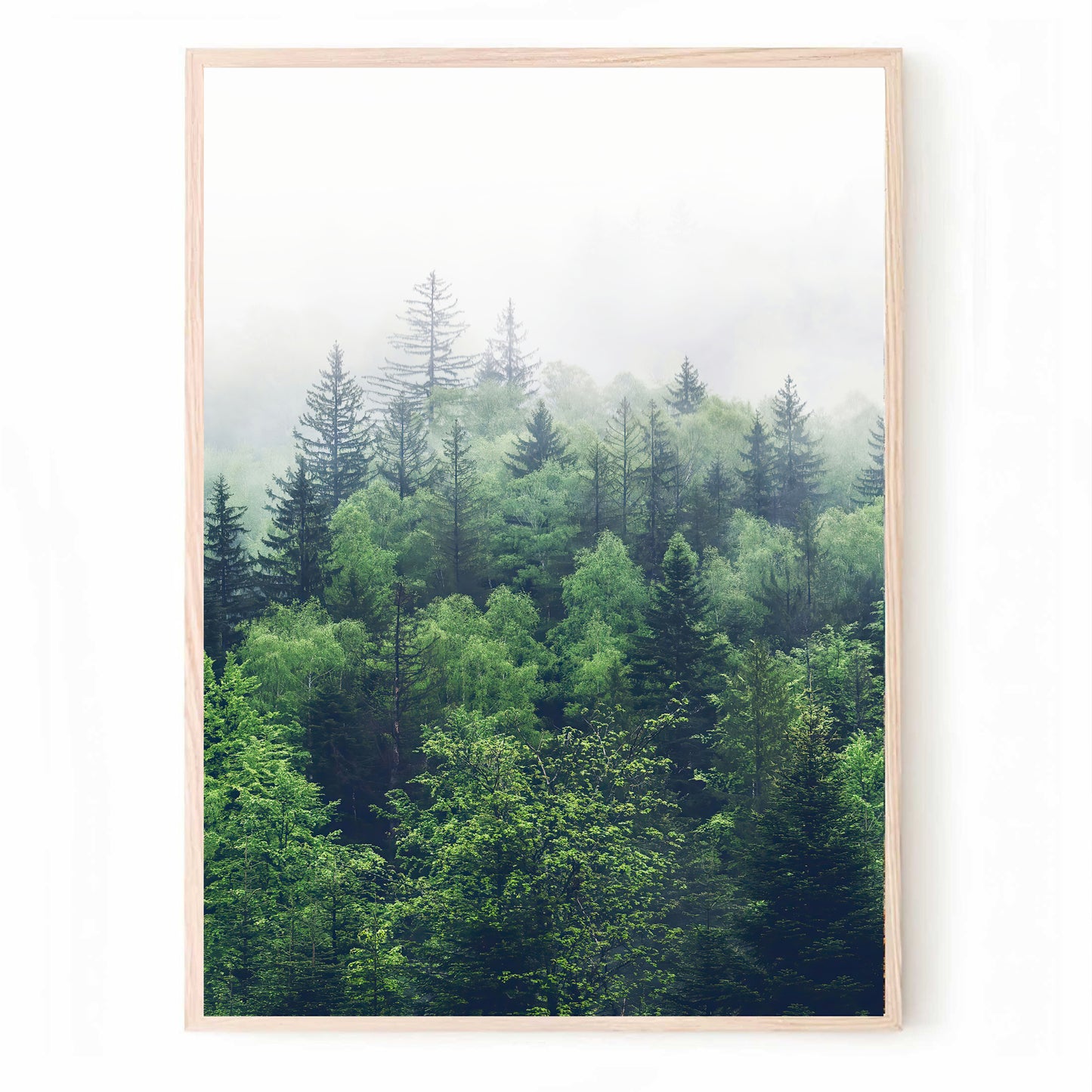 Green Forest Panorama in 3 Piece | Foggy Forest Landscape Triptych Art