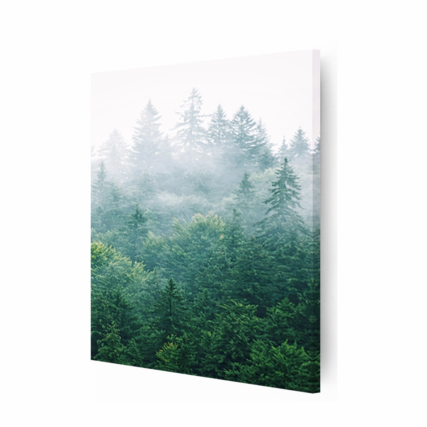 Stretched canvas with morning forest.