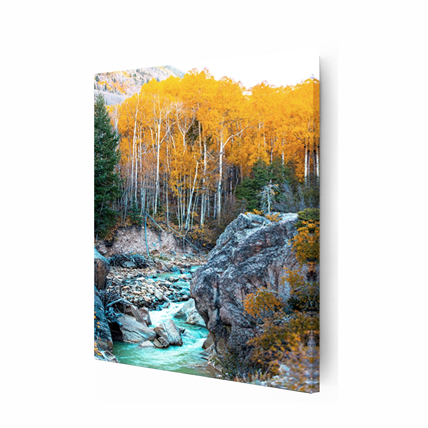 Autumn landscape canvas.