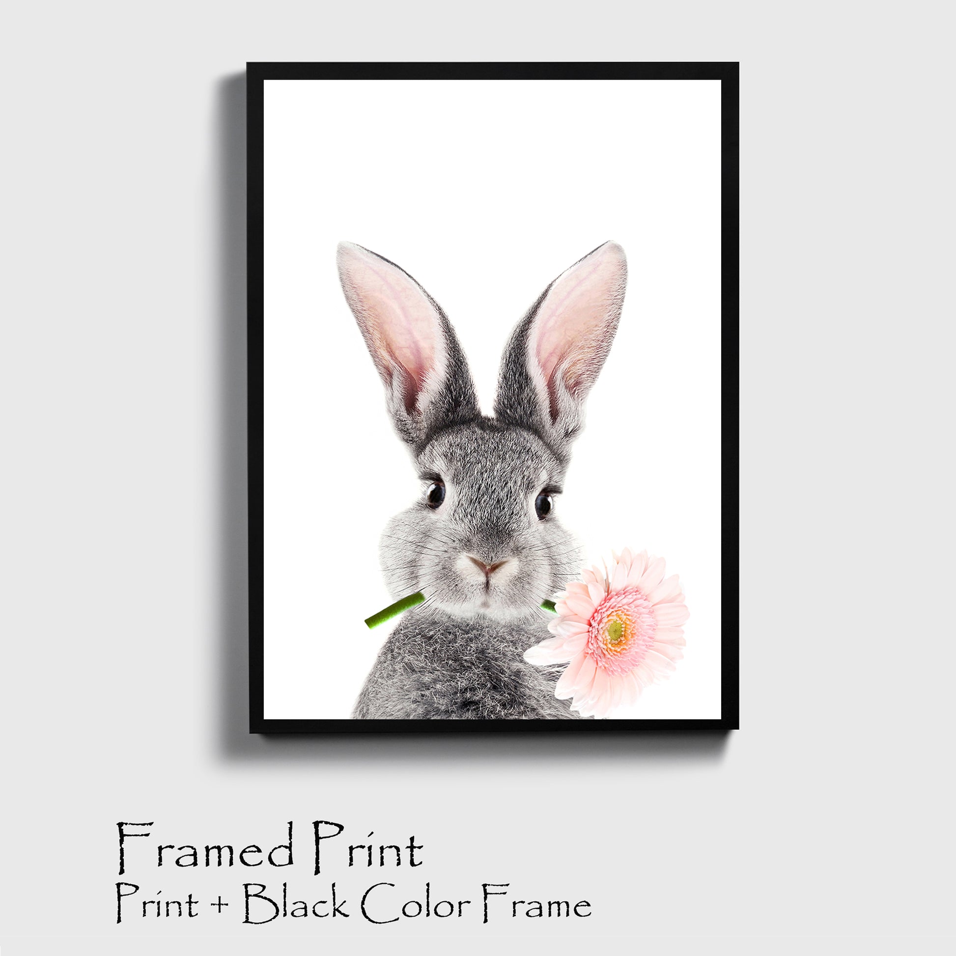 Bunny with pink flower print in black color frame.