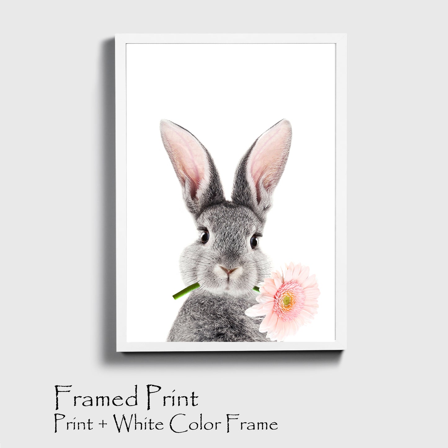 Bunny with pink flower print in white color frame.