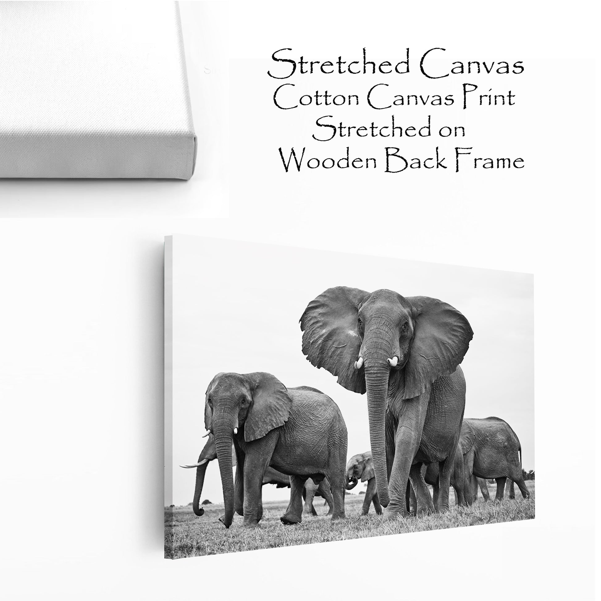 Canvas wall art with elephants.