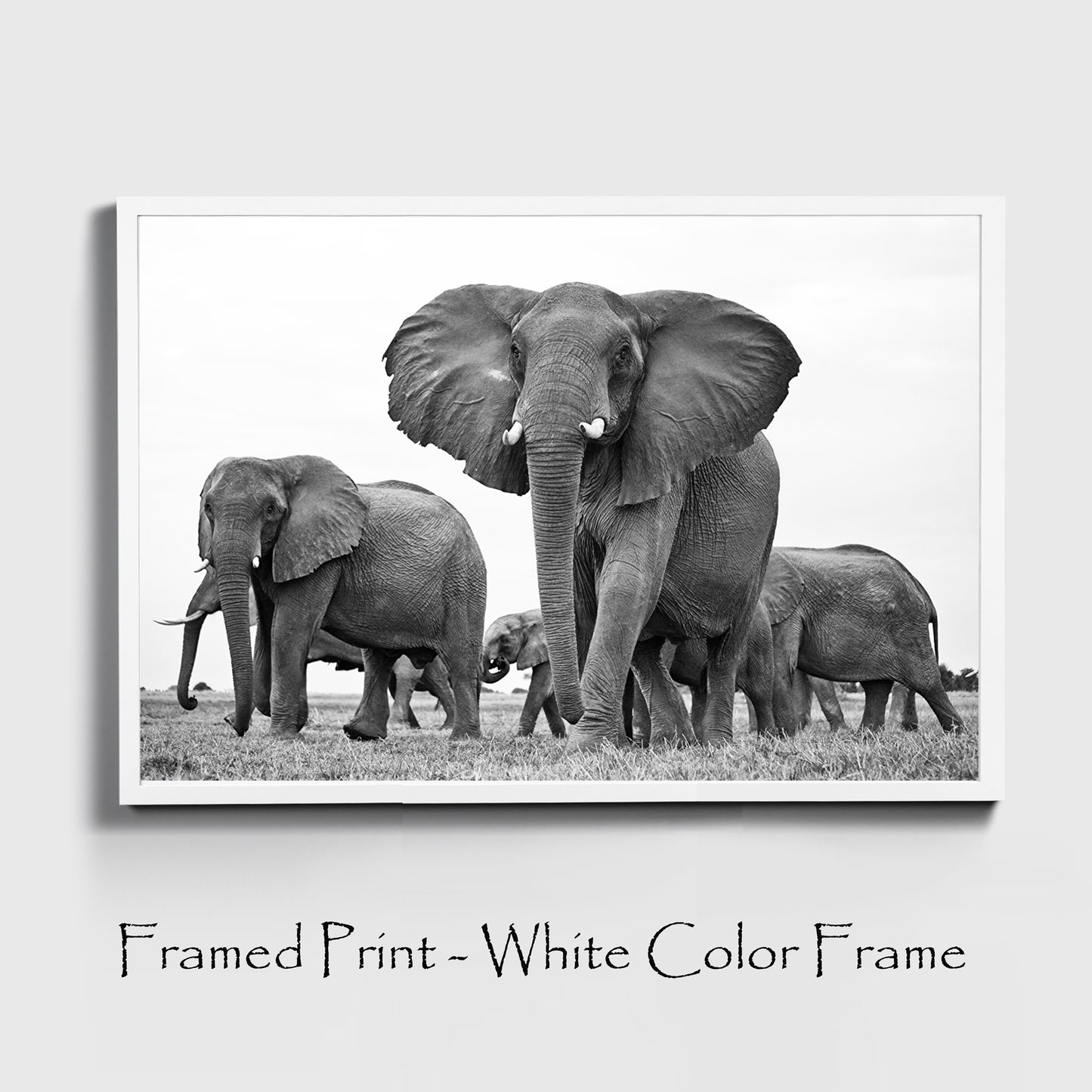 Elephants print in white color frame.