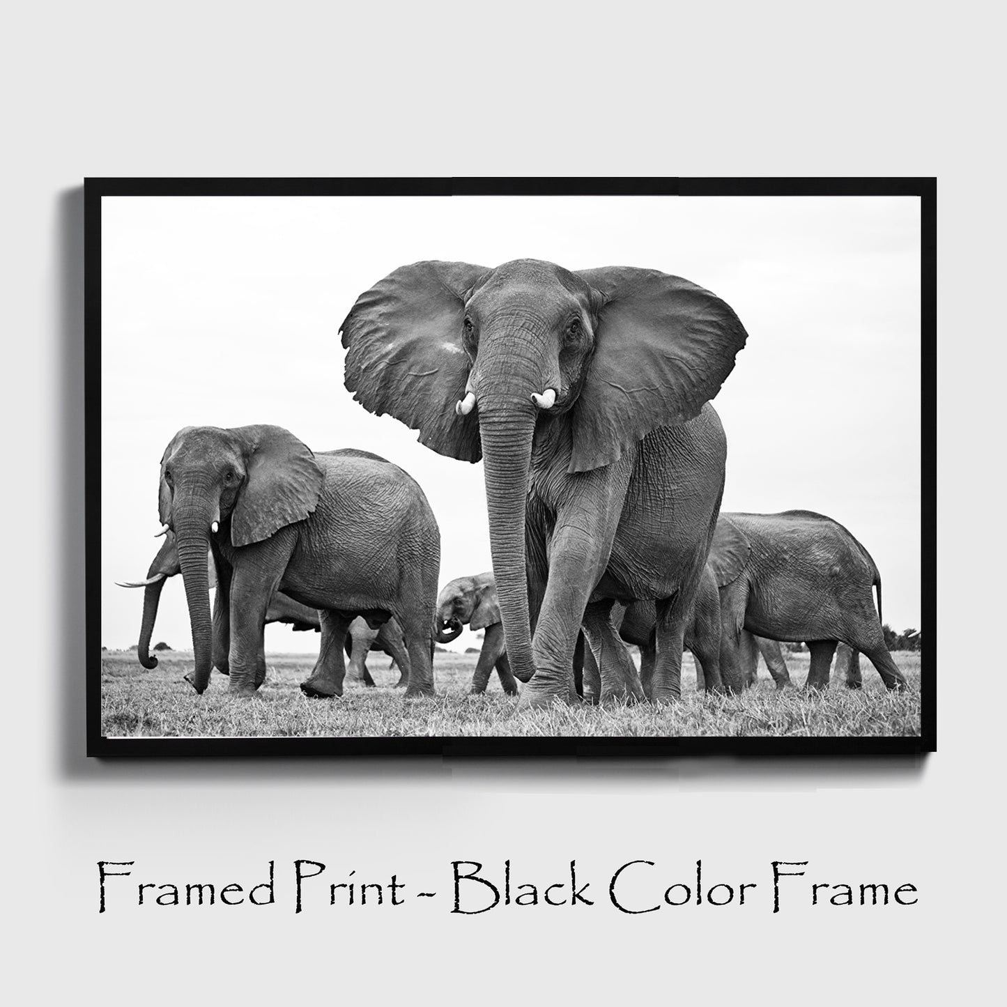 Elephants print in black color frame.