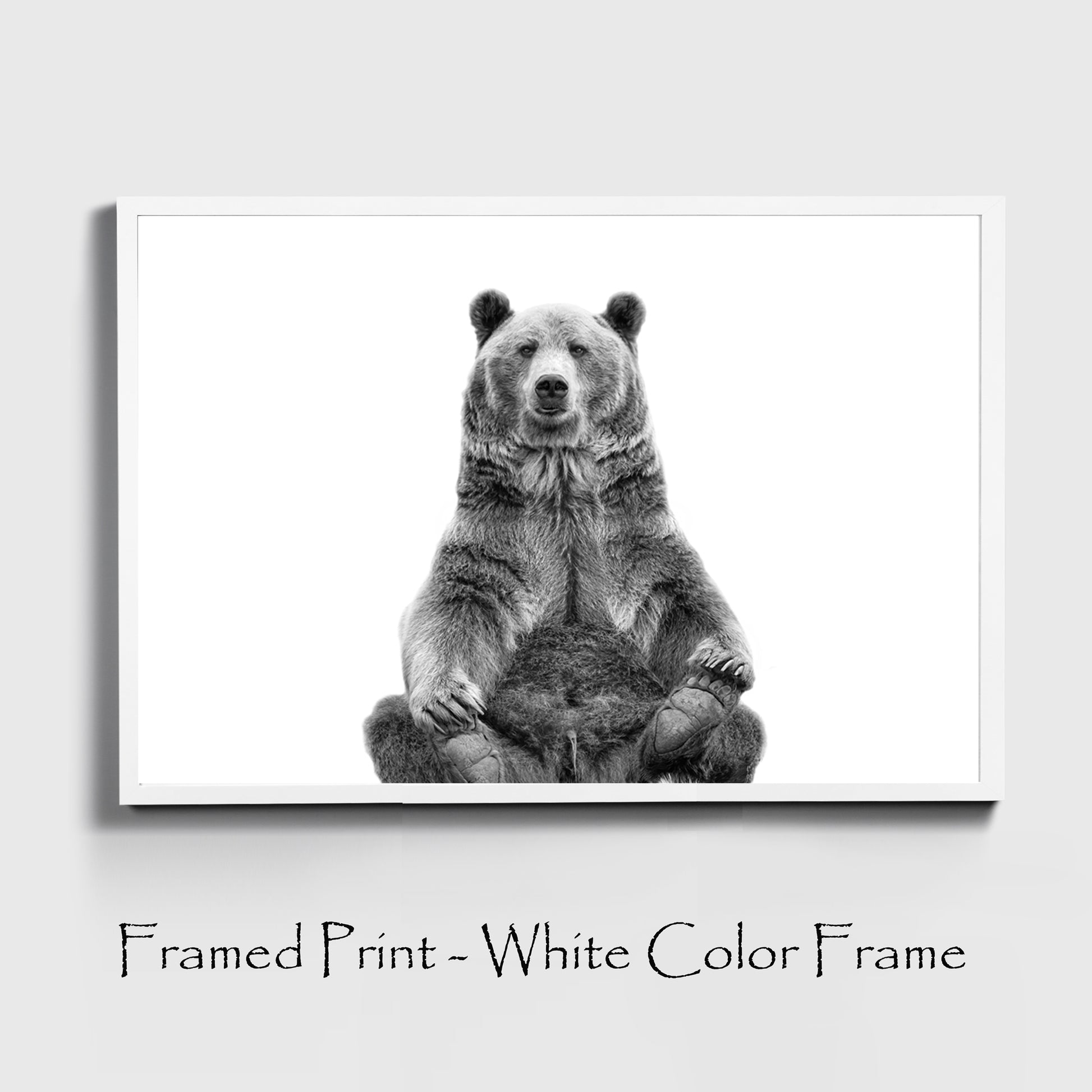 Sitting bear poster in white color frame.