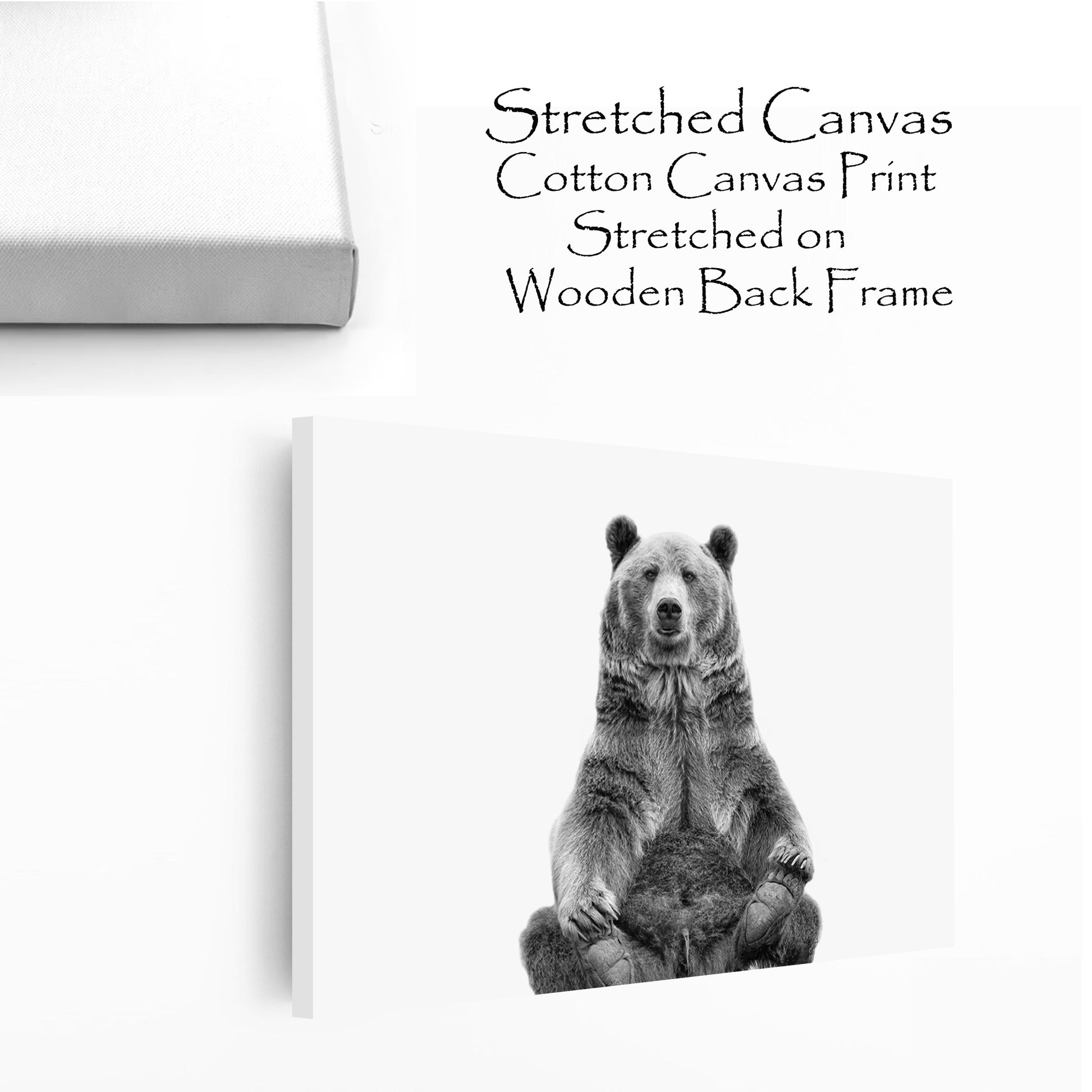 Sitting bear stretched canvas wall art.