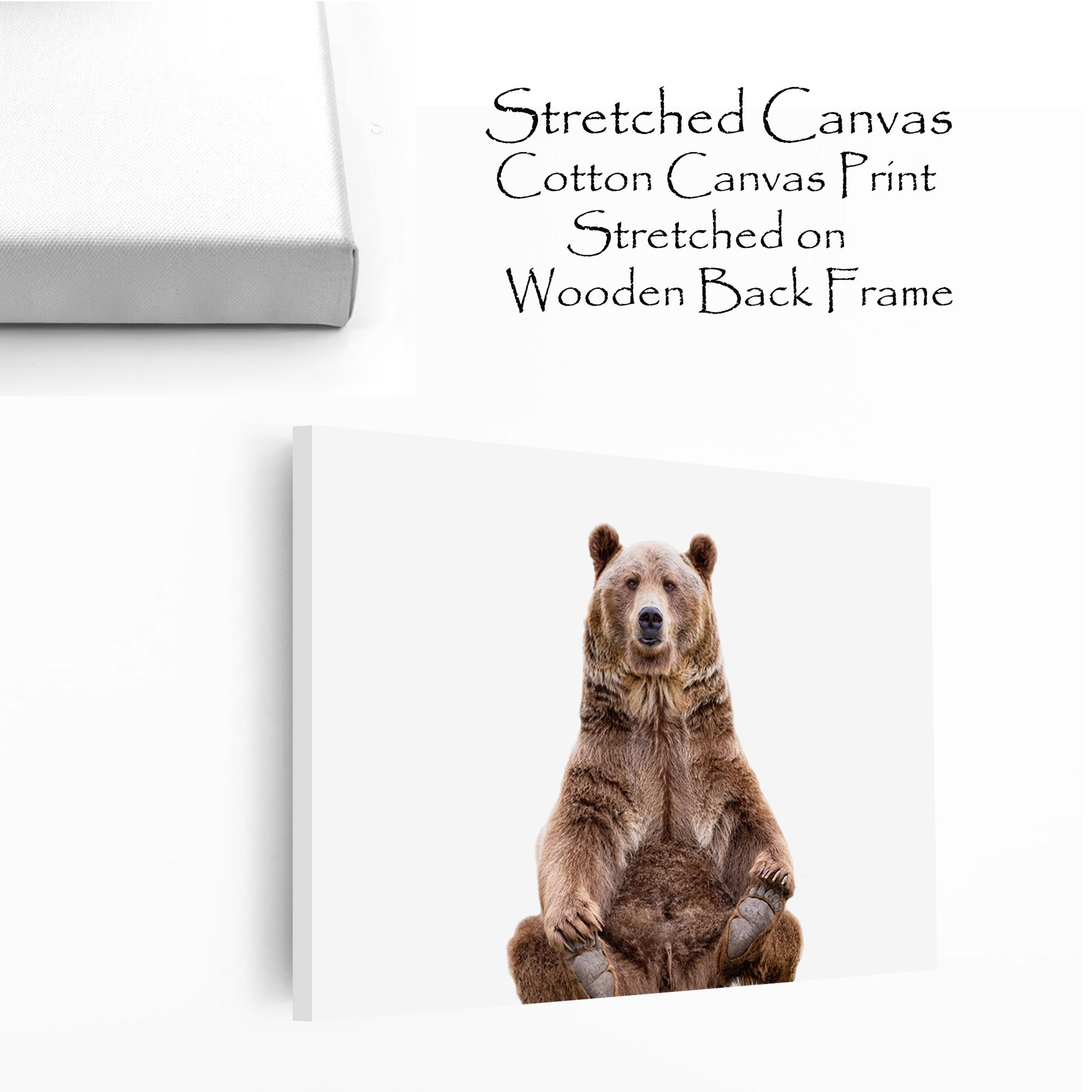 Sitting bear stretched canvas wall art.