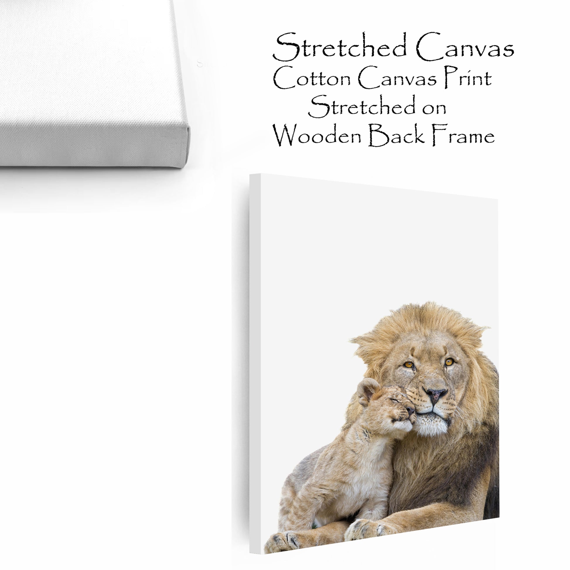 Stretched canvas print with lion and cub.