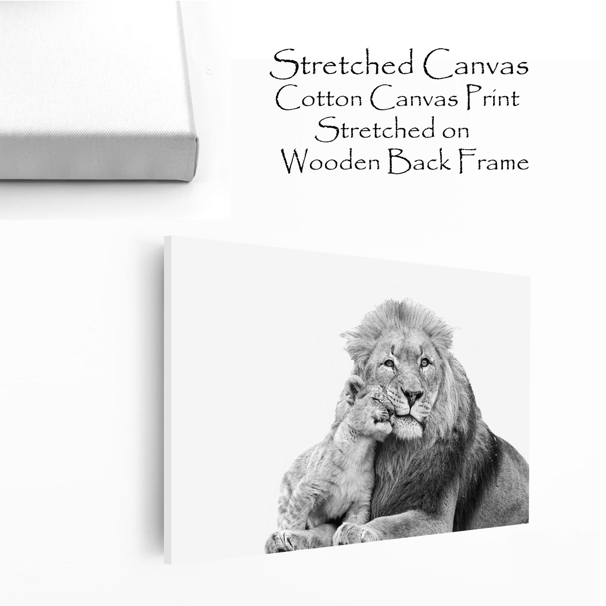 Stretched canvas print with lion and cub.