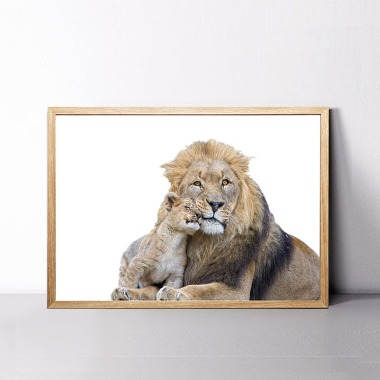 Big lion with lion cub colorful photo.