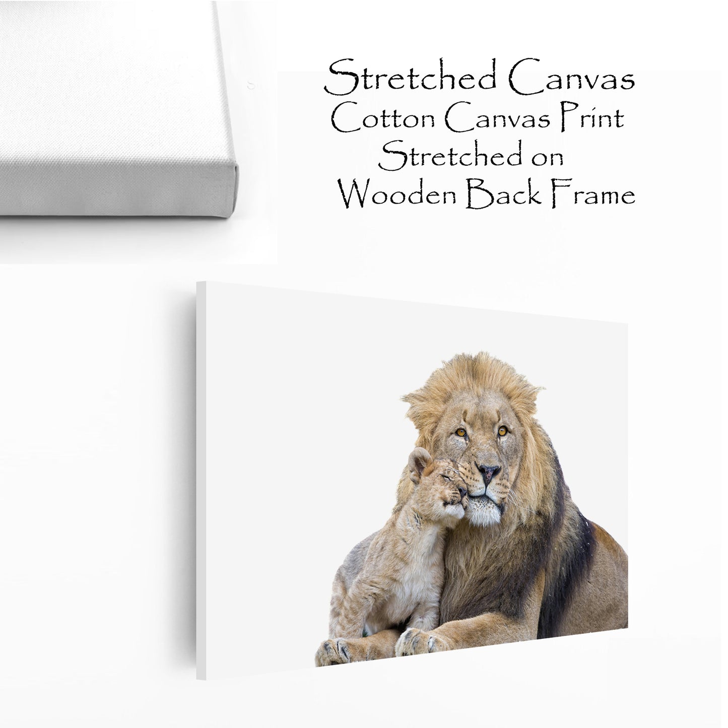 Stretched canvas print with lion and cub.