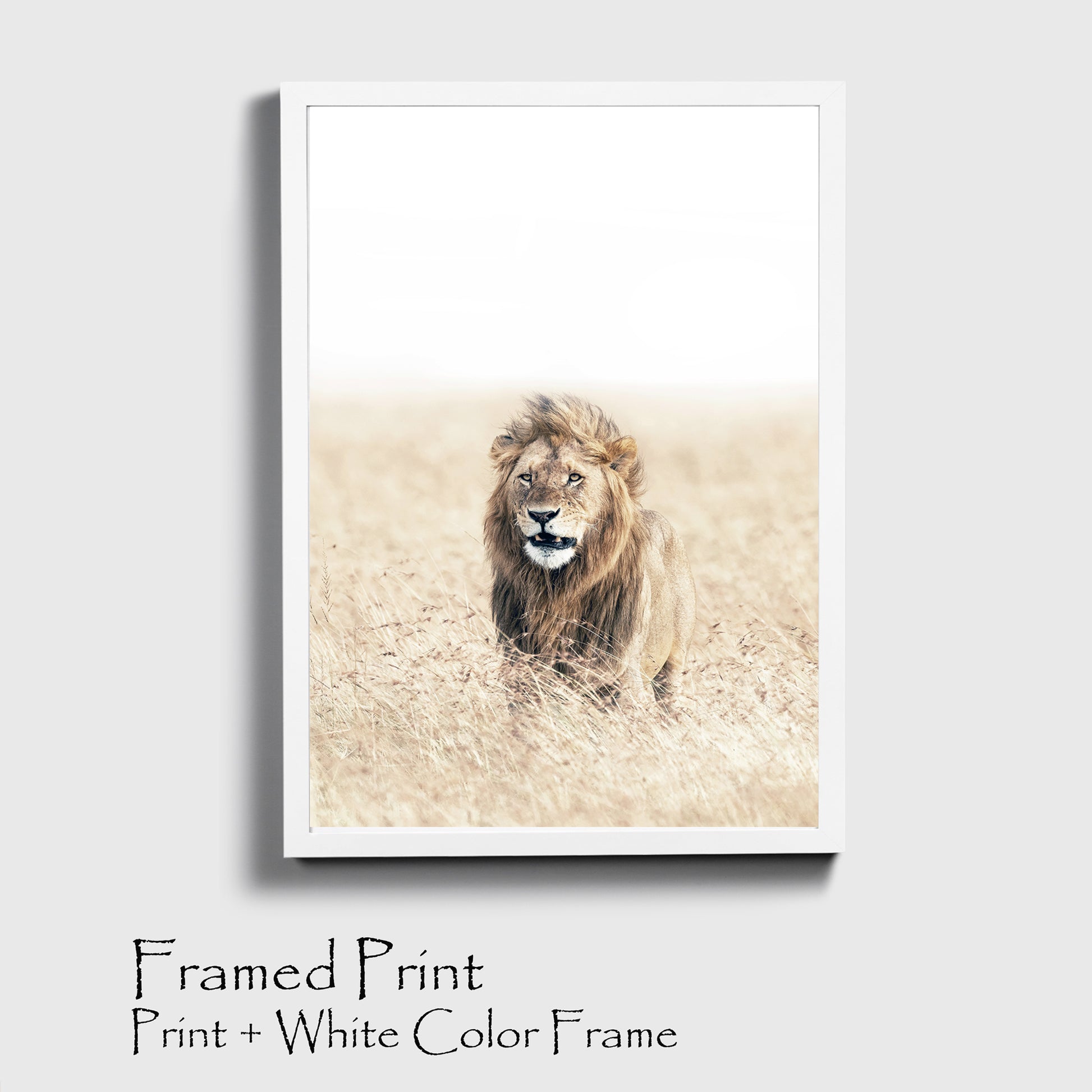 Lion in the grass print in white color frame.