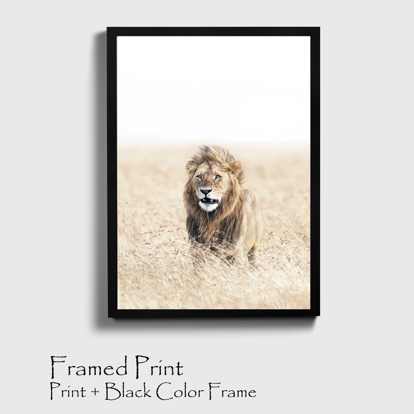 Lion in the grass print in black color frame.