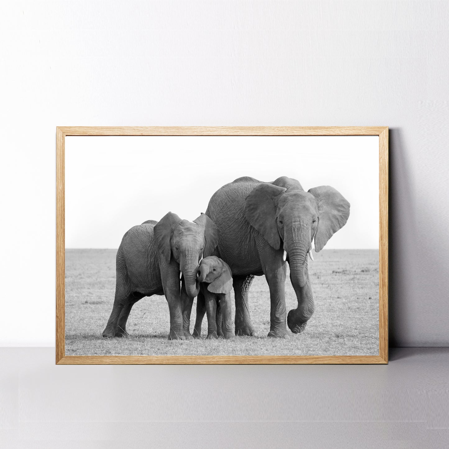 African elephant family print. 