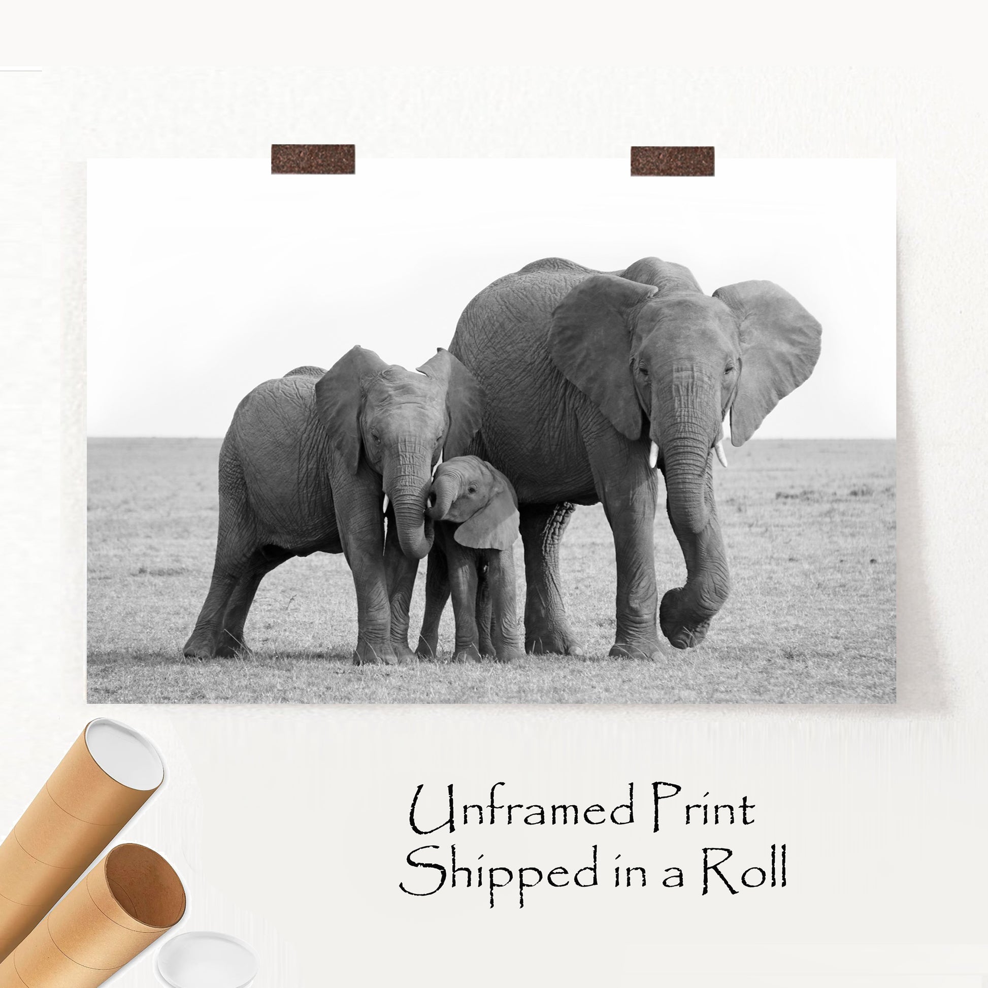 Elephant family unframed print.