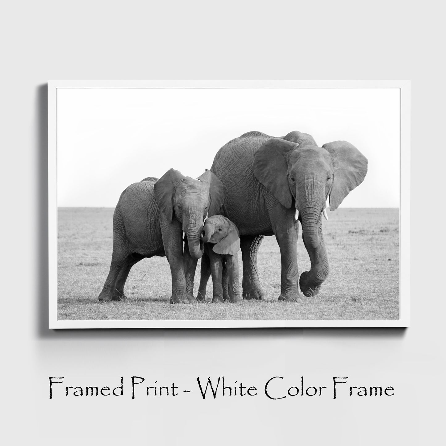 Elephants print in white color frame.