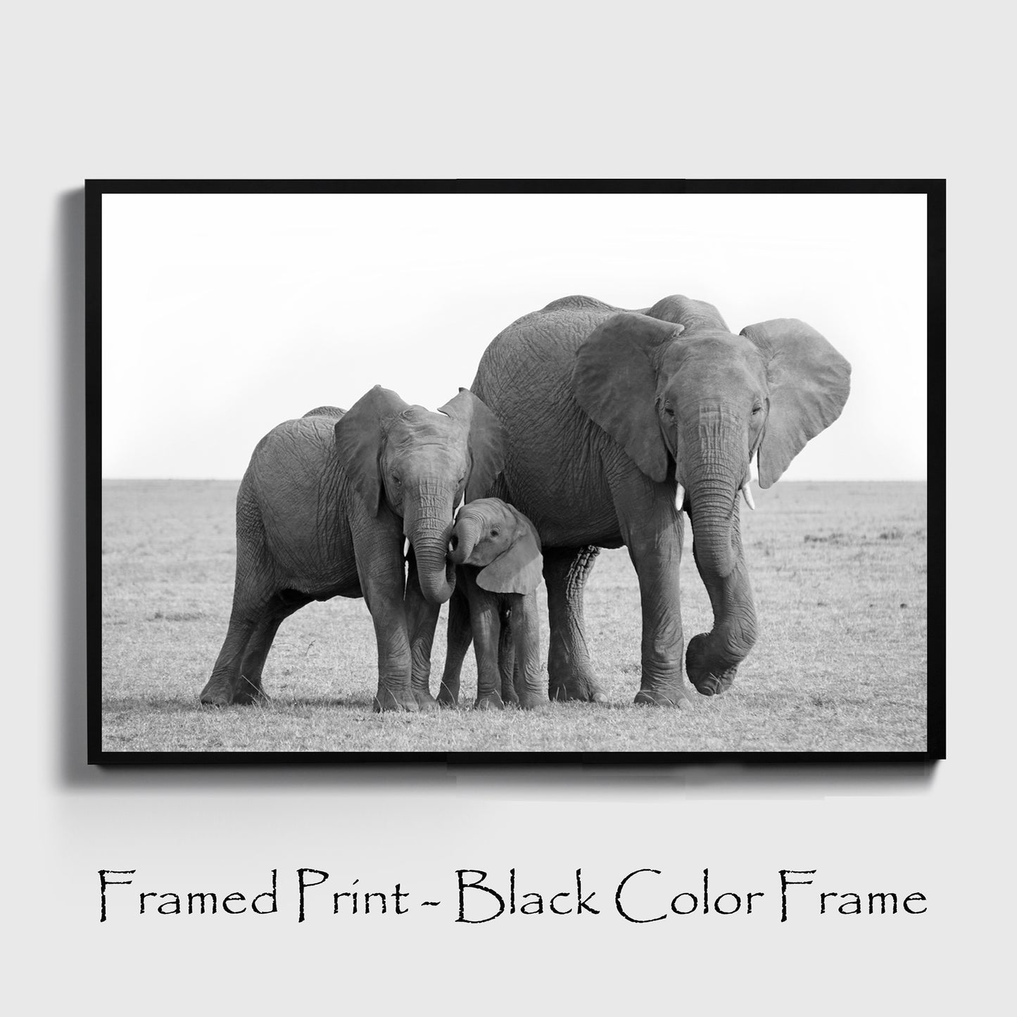 Elephants print in black color frame.