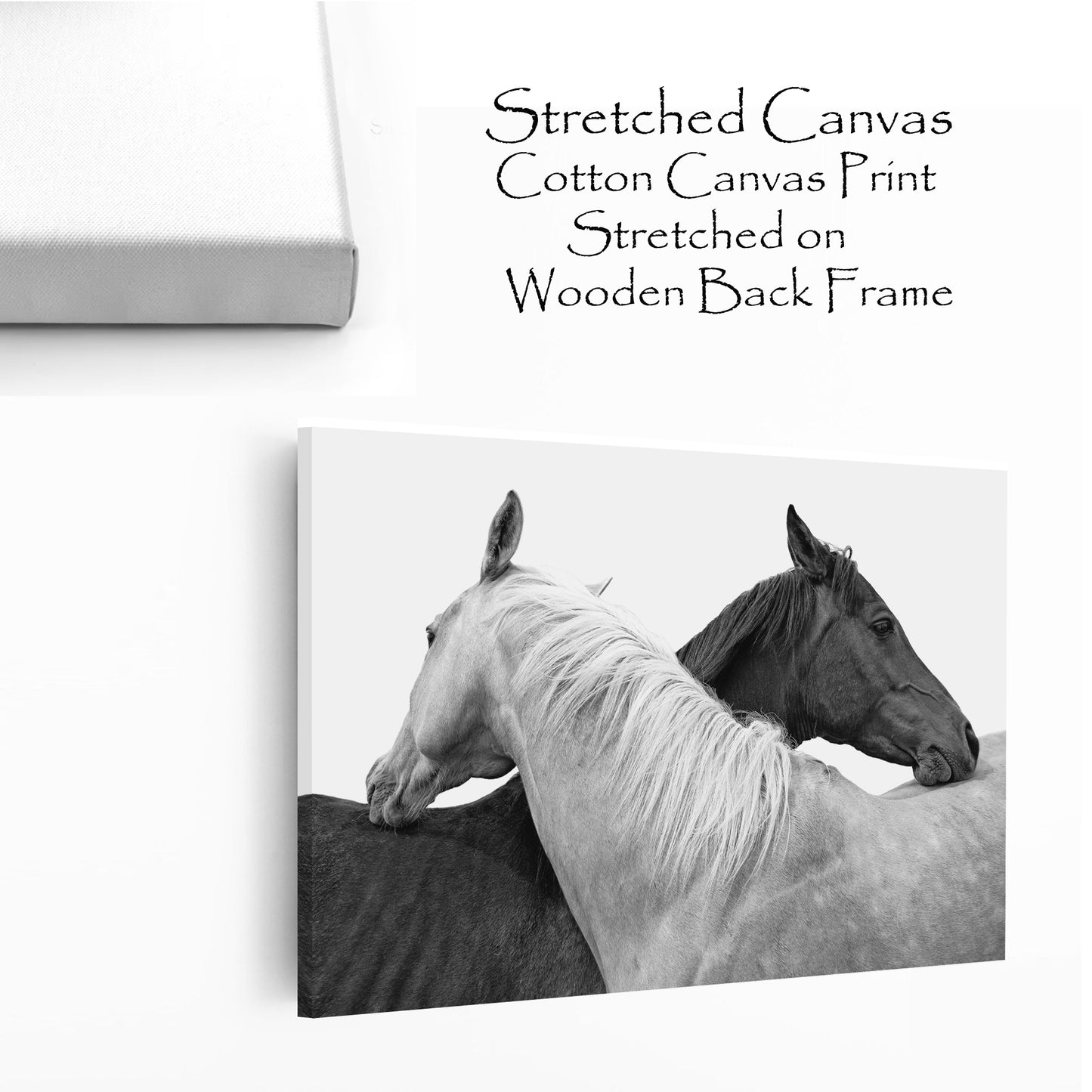 Two horse canvas wall art.