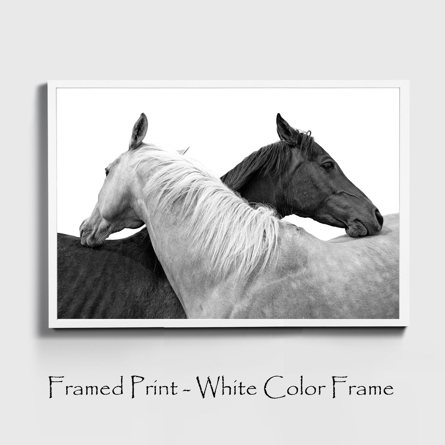 Two horse wall art with white color frame.