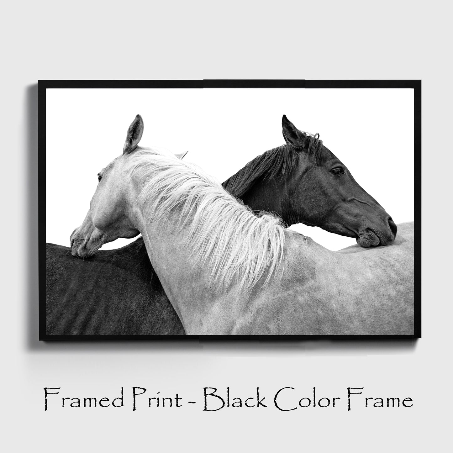 Two horse wall art with black color frame.