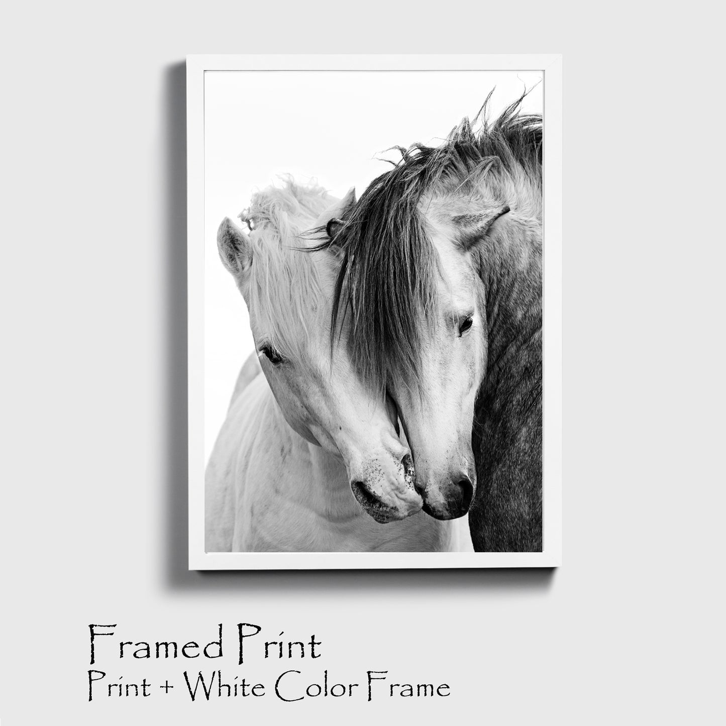 Two kissing horses print with white color frame.