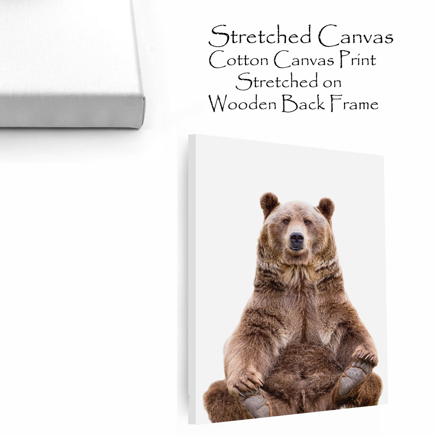 Sitting grizzly bear colorful canvas wall art.