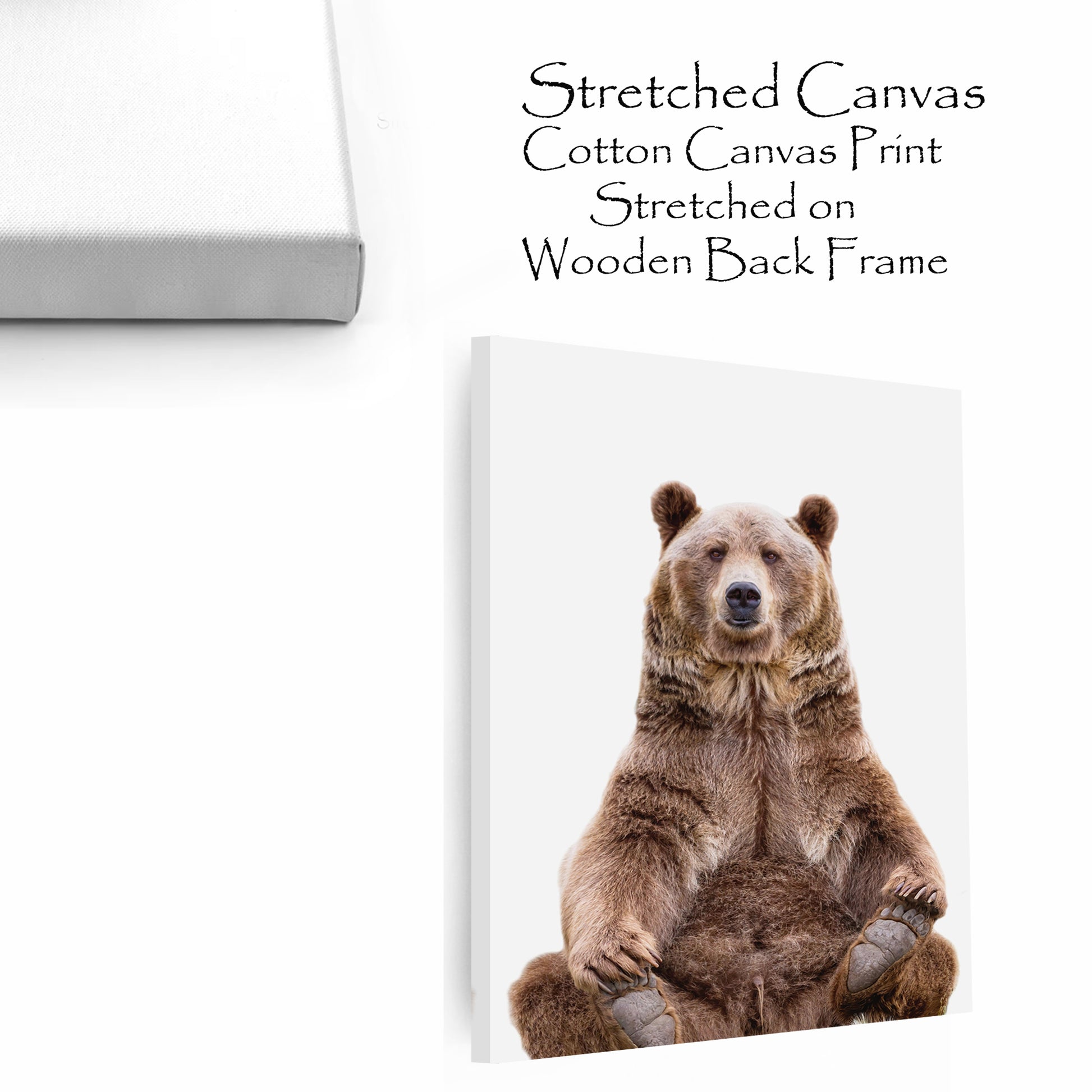 Sitting grizzly bear colorful canvas wall art.