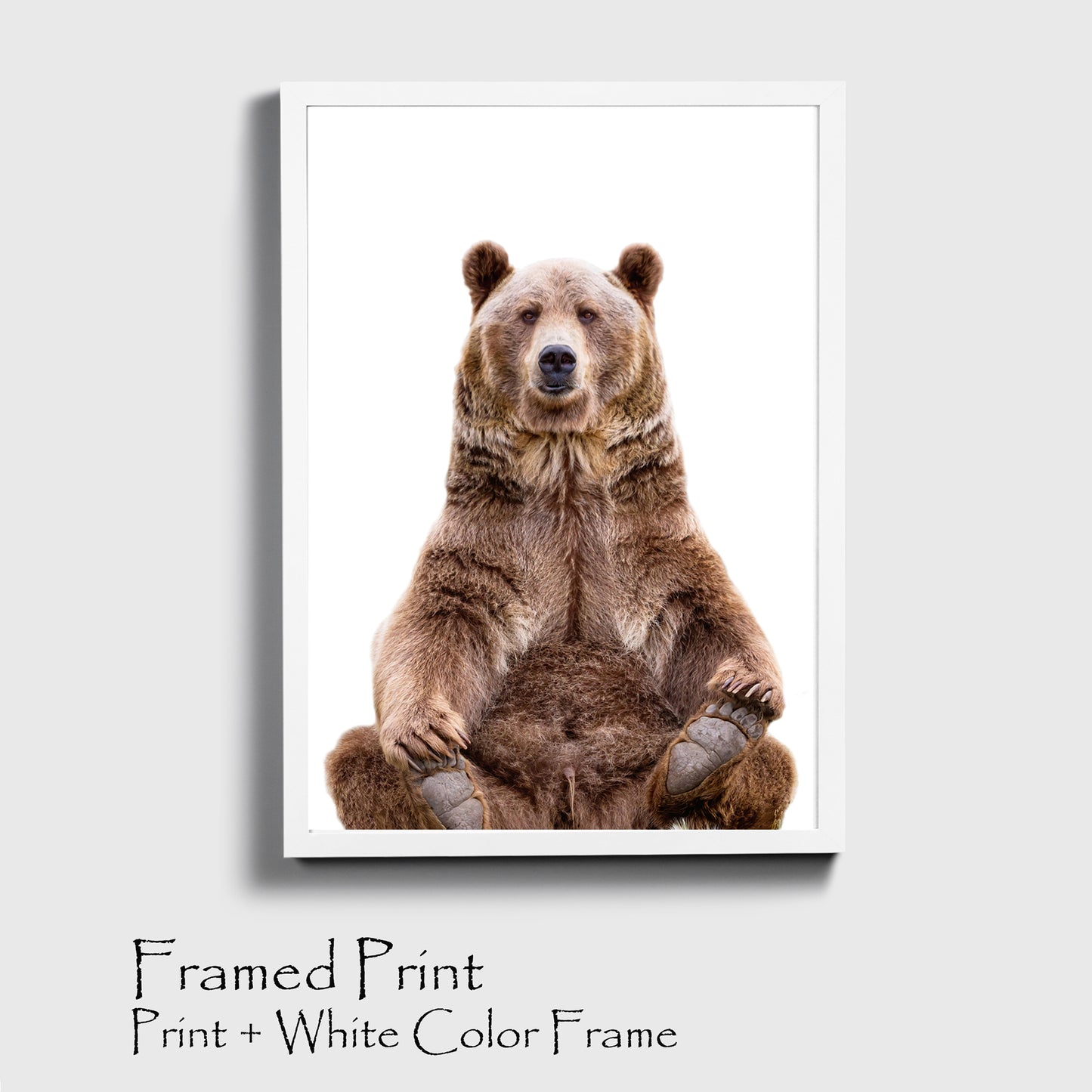 Sitting bear with white color frame, sample.