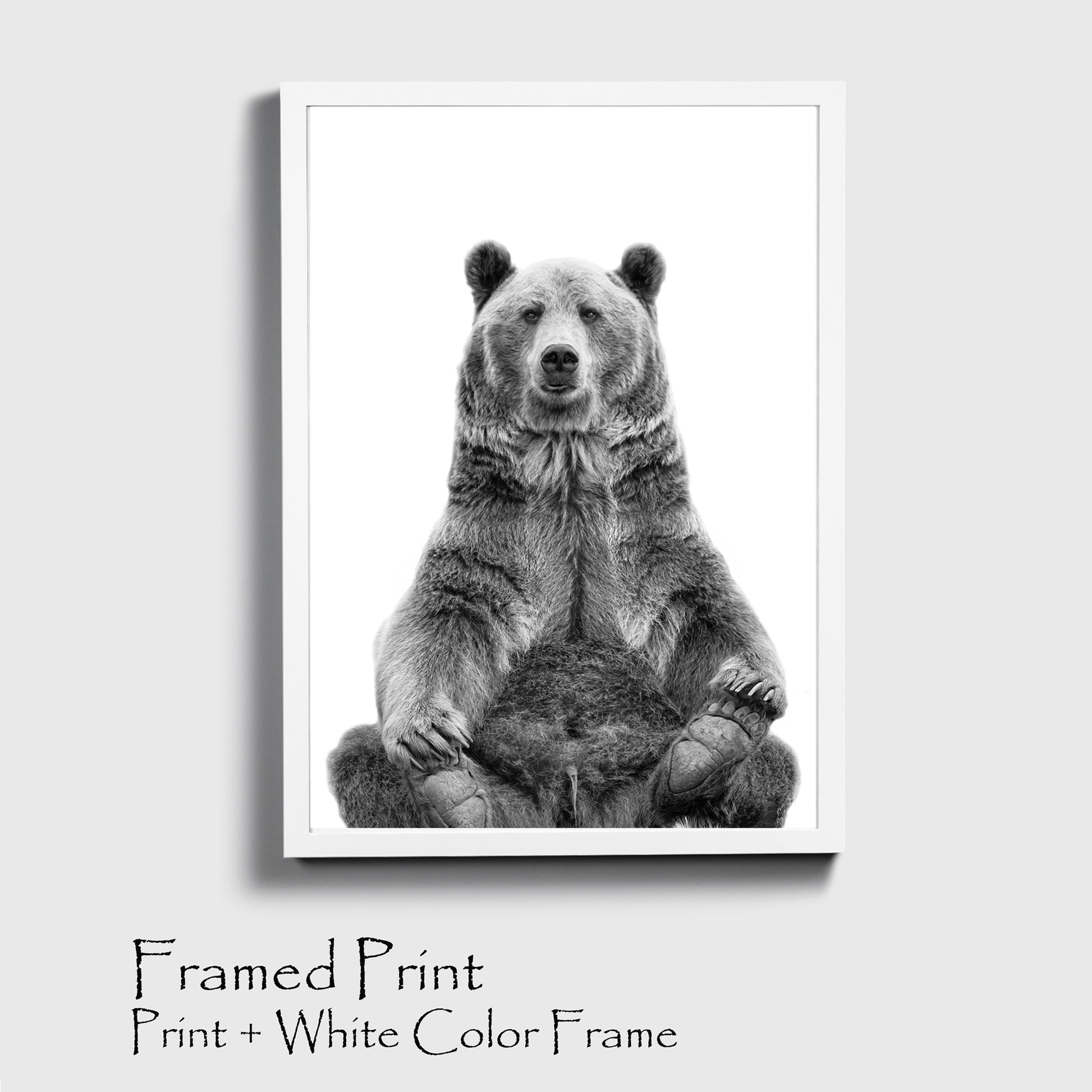 Bear print in white color frame.