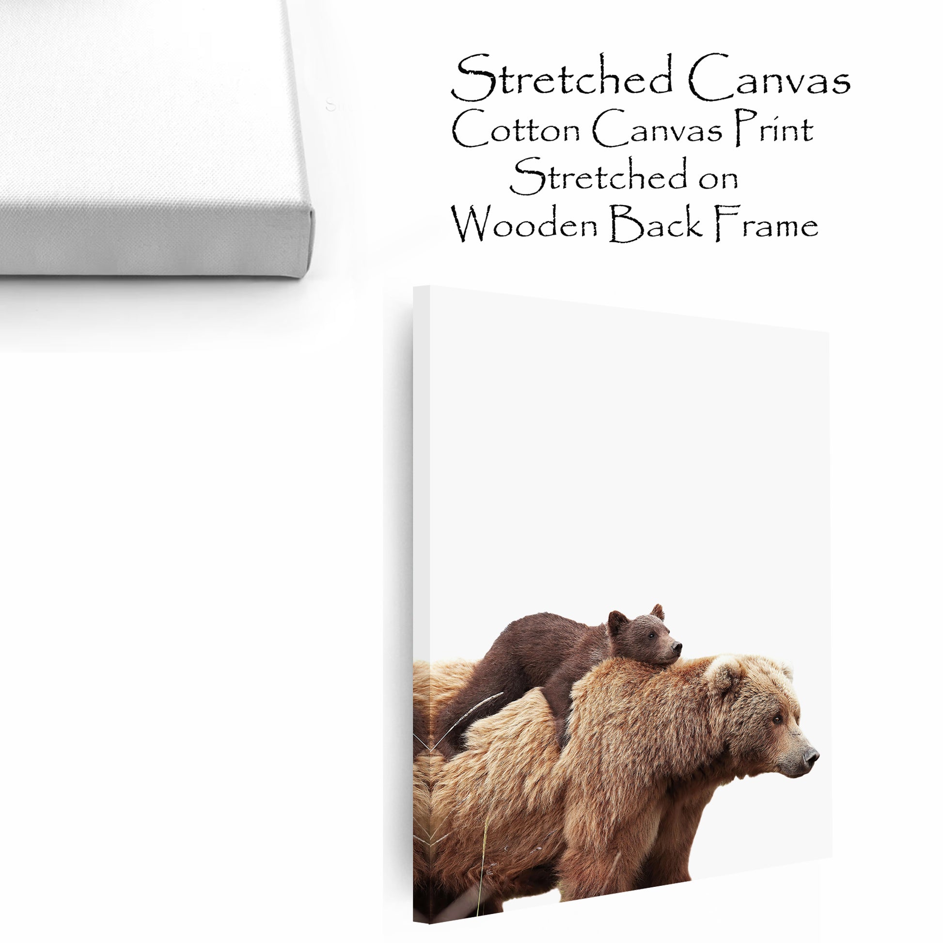 Two bears stretched canvas.