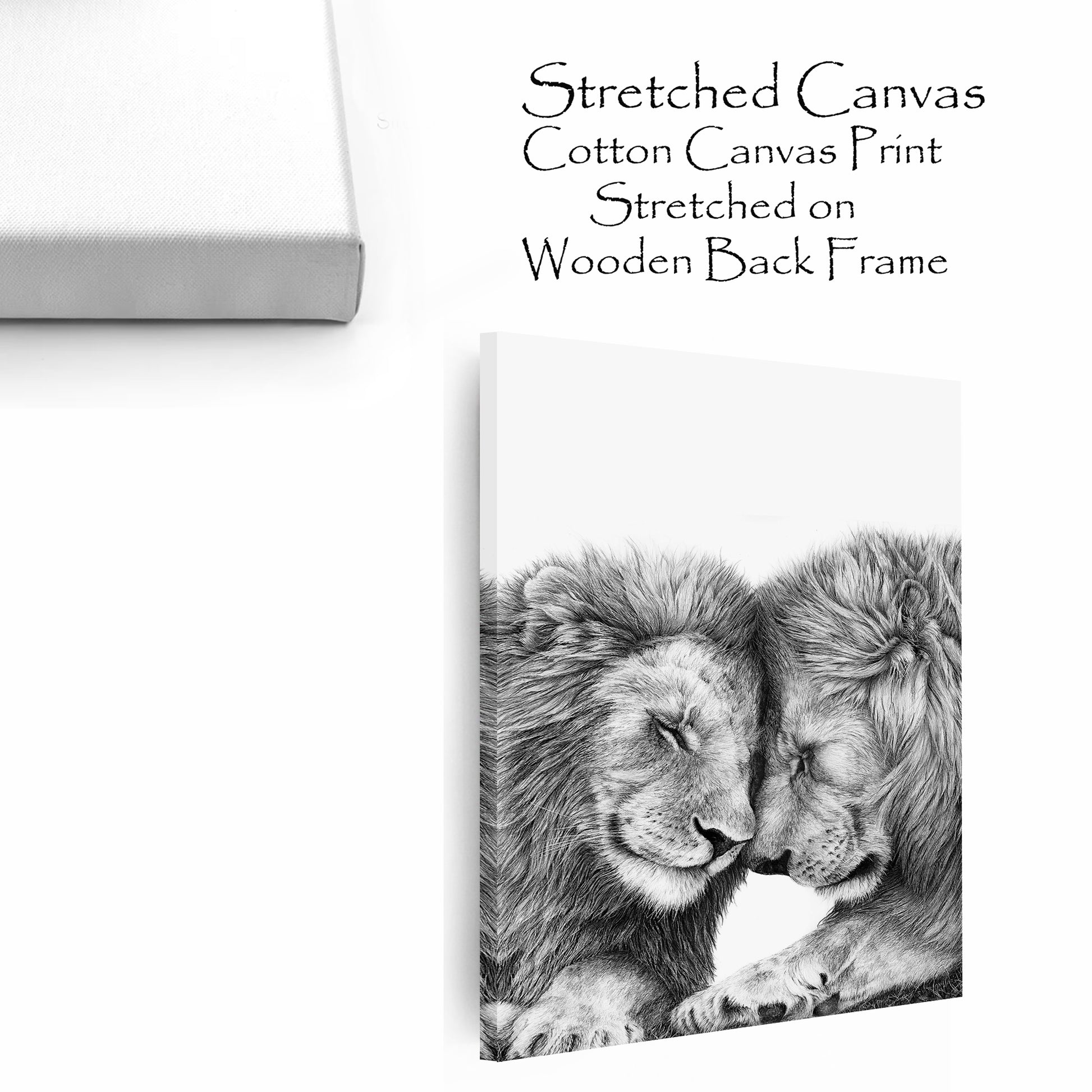 Two lions stretched canvas wall art.