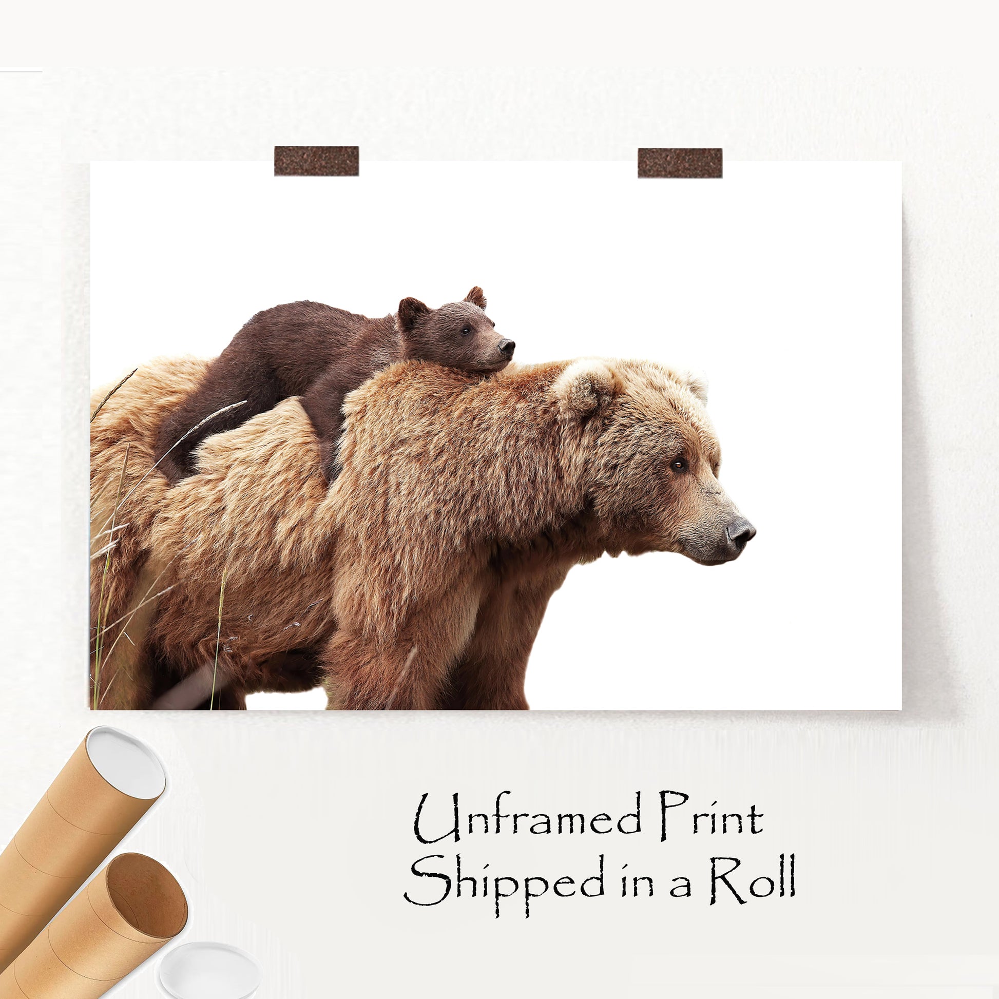 Bear with cub unframed print with postal package, sample.