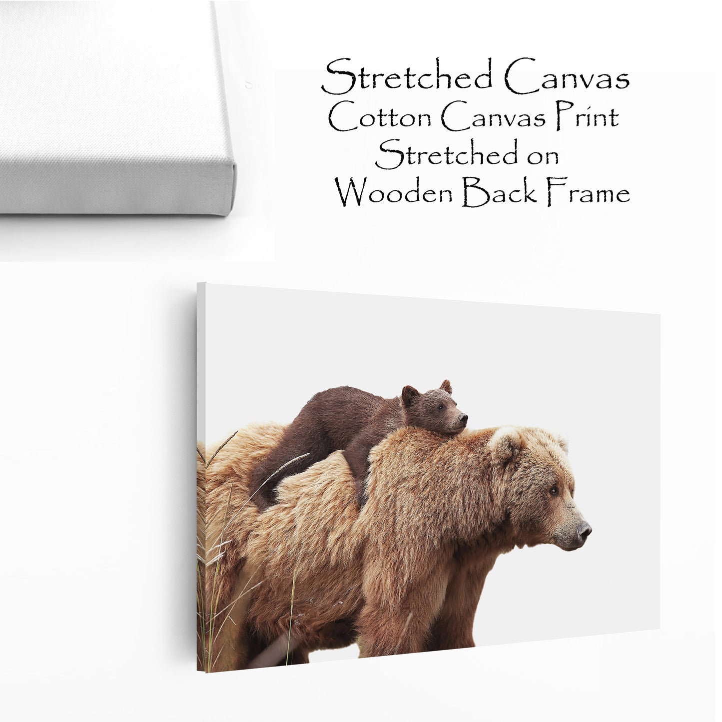 Bear with cub colorful canvas wall art.