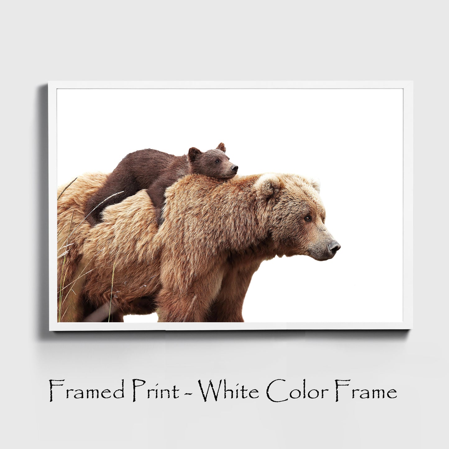 Bear with cub colorful photo in white color frame, sample.