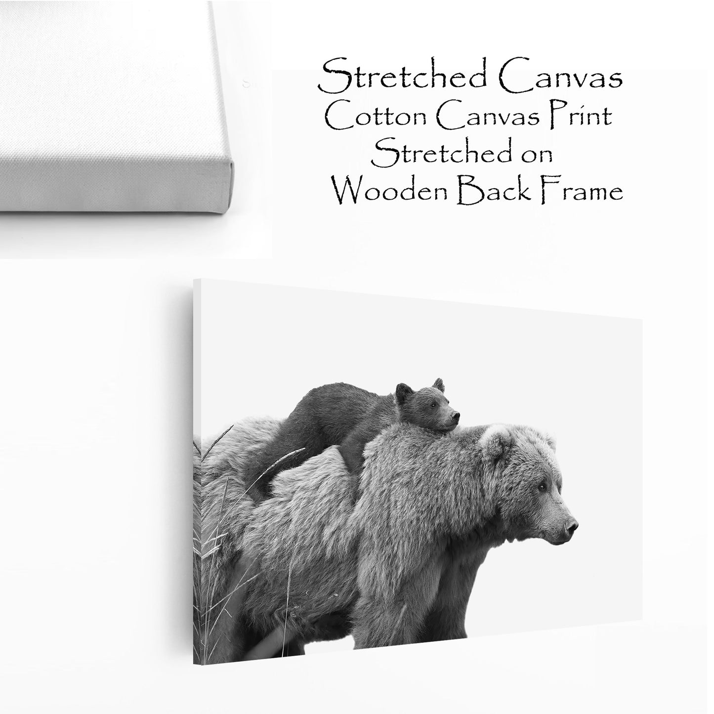 Bear with cub canvas wall art.