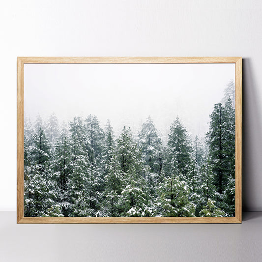 Winter Forest Wall Art | Green Pine Tree Forest with Snow Large Poster