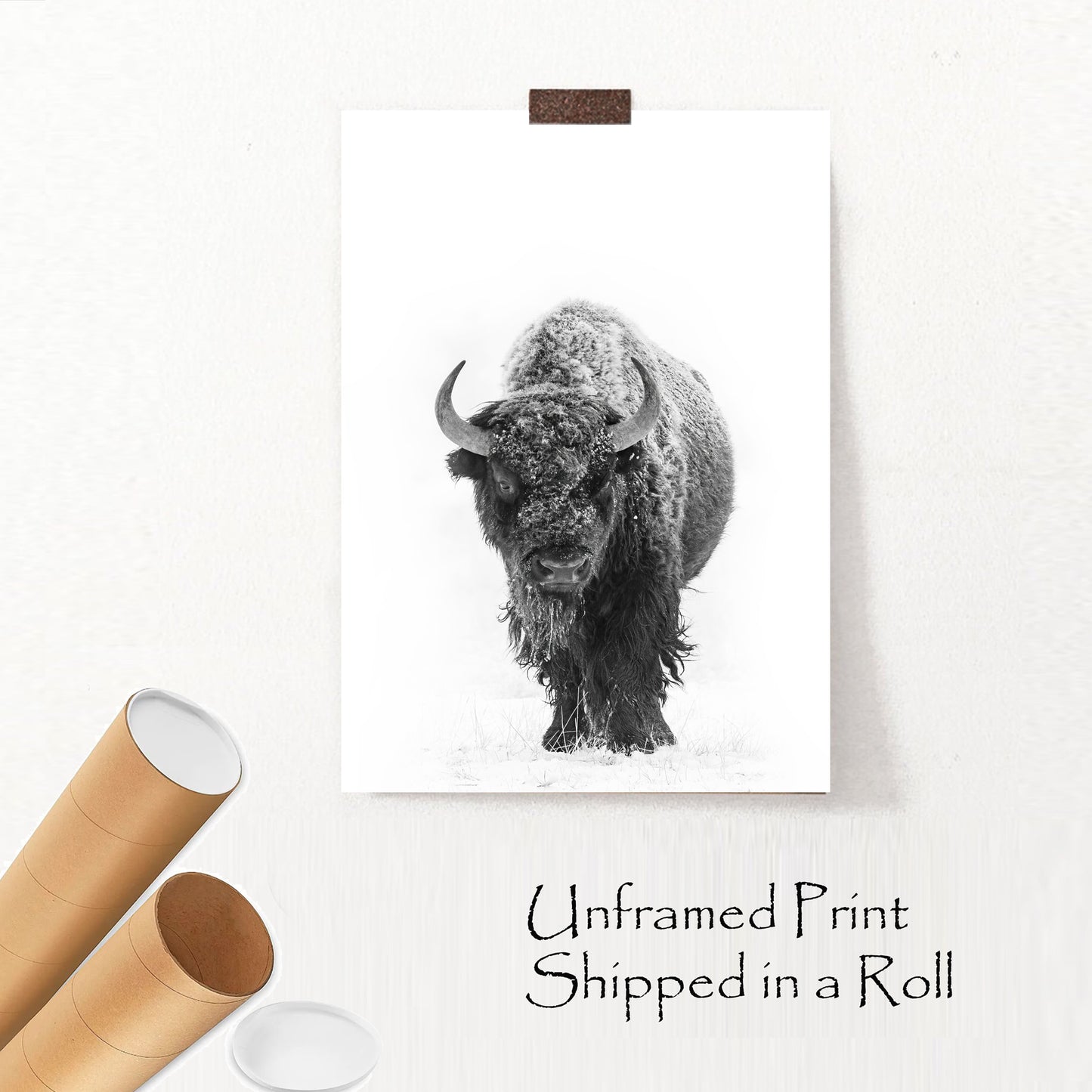 Bison with snow unframed print.