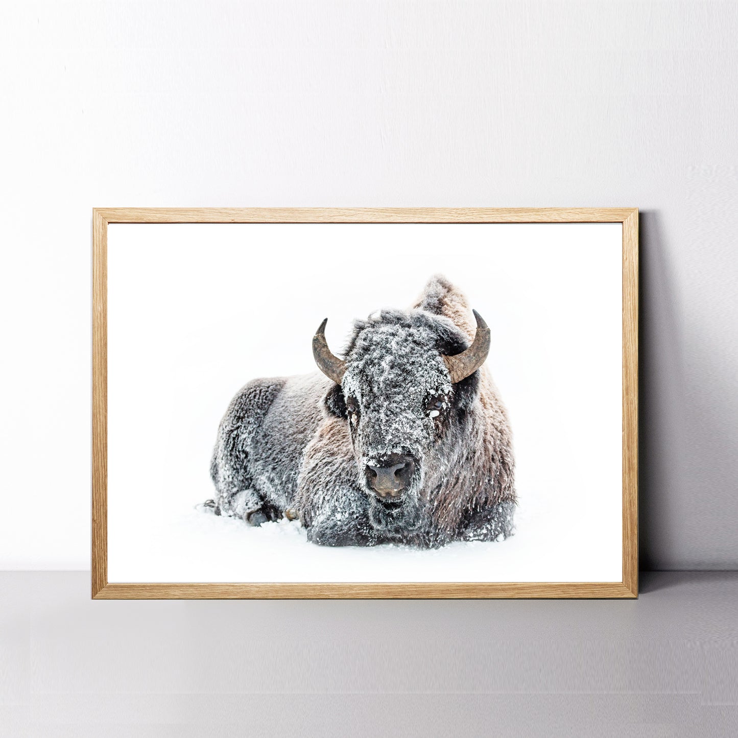 Lying bison in snow wall art.