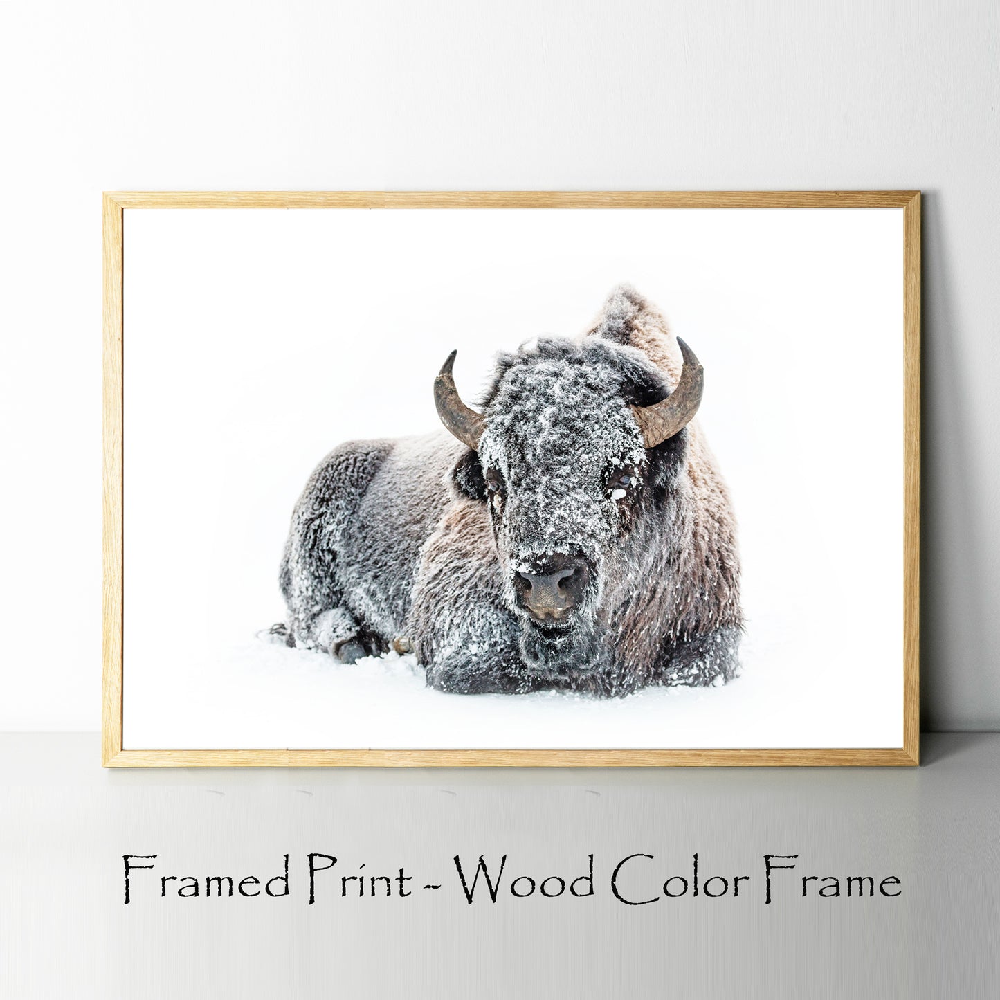 Lying bison print in wood color frame.