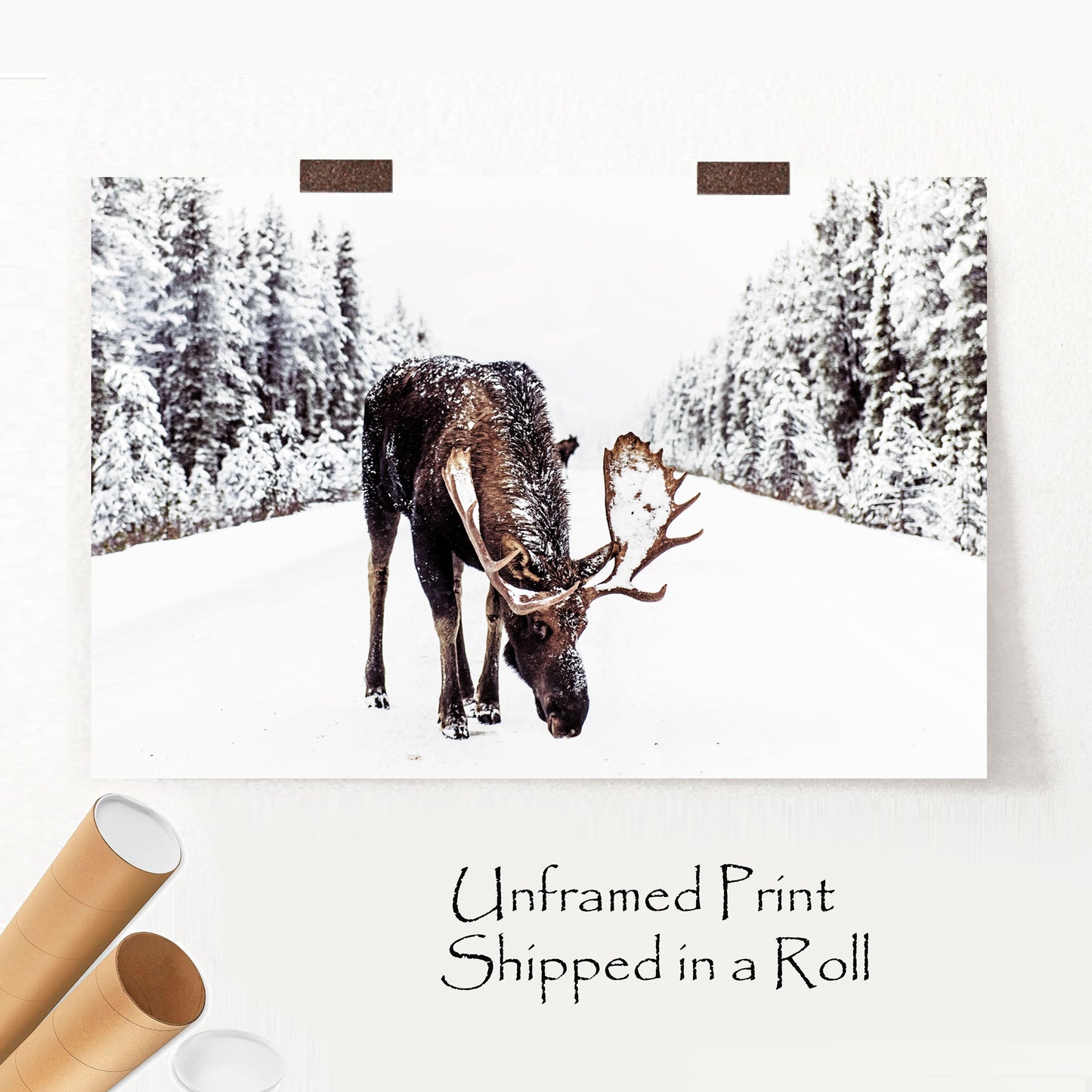 Elk in winter unframed print.