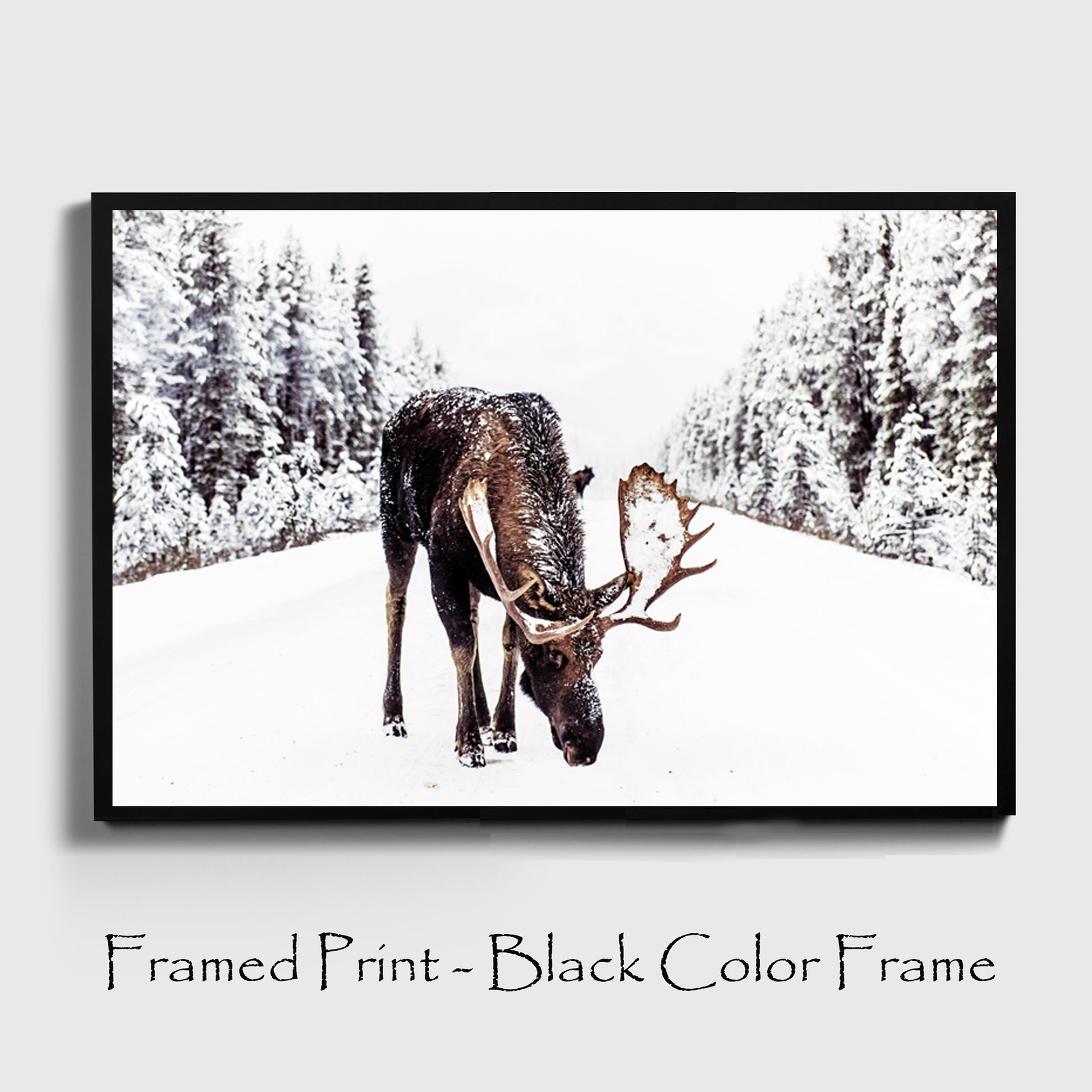 Elk print in black color frame.