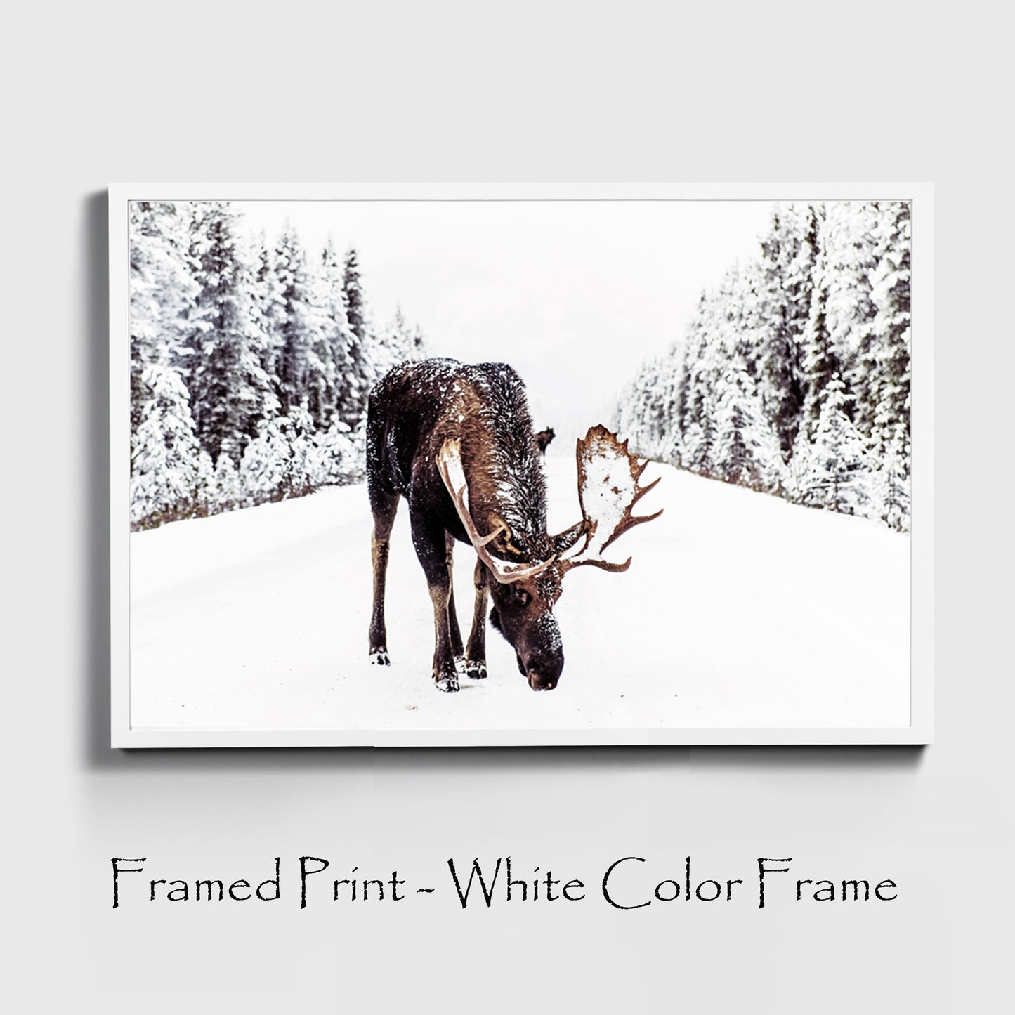 Elk print in white color frame.