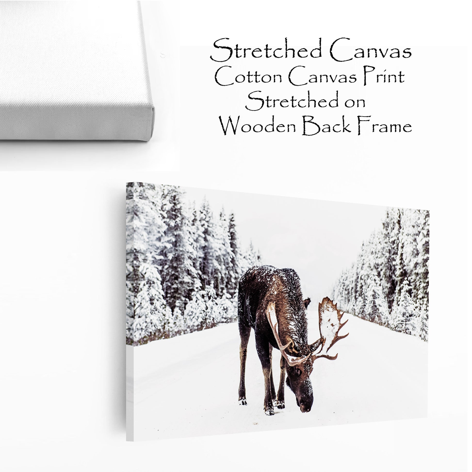 Stretched canvas panel with elk in winter.