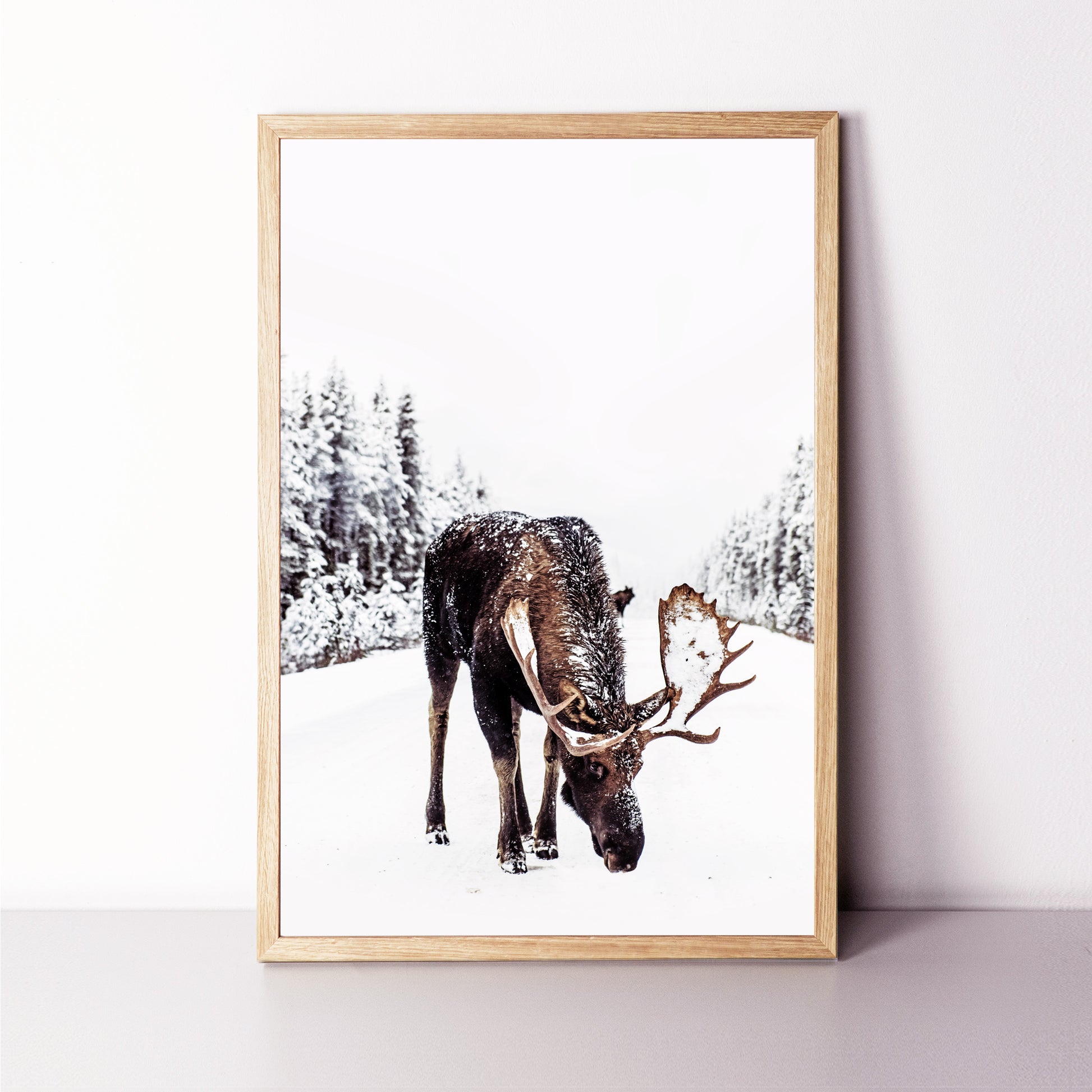 Elk poster for Holidays decor.