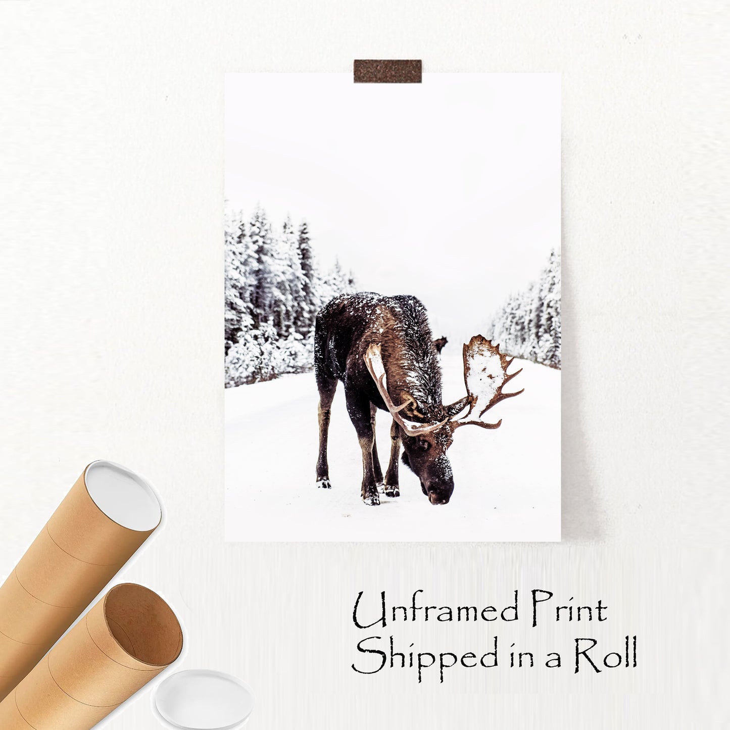 Elk unframed poster.