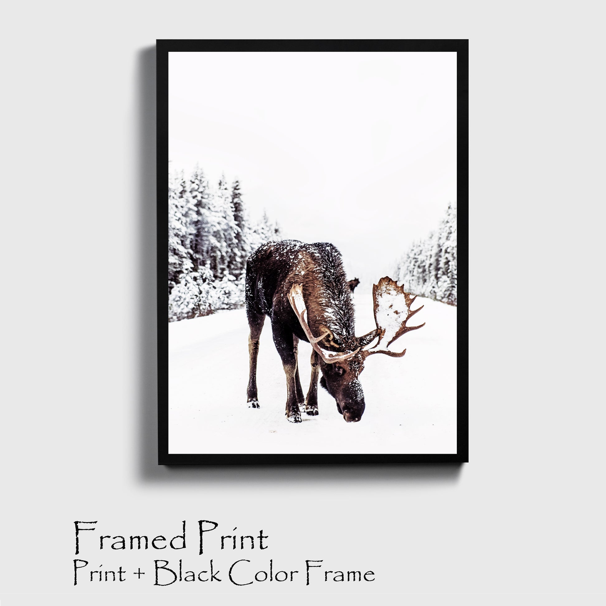 Elk poster in black color frame.