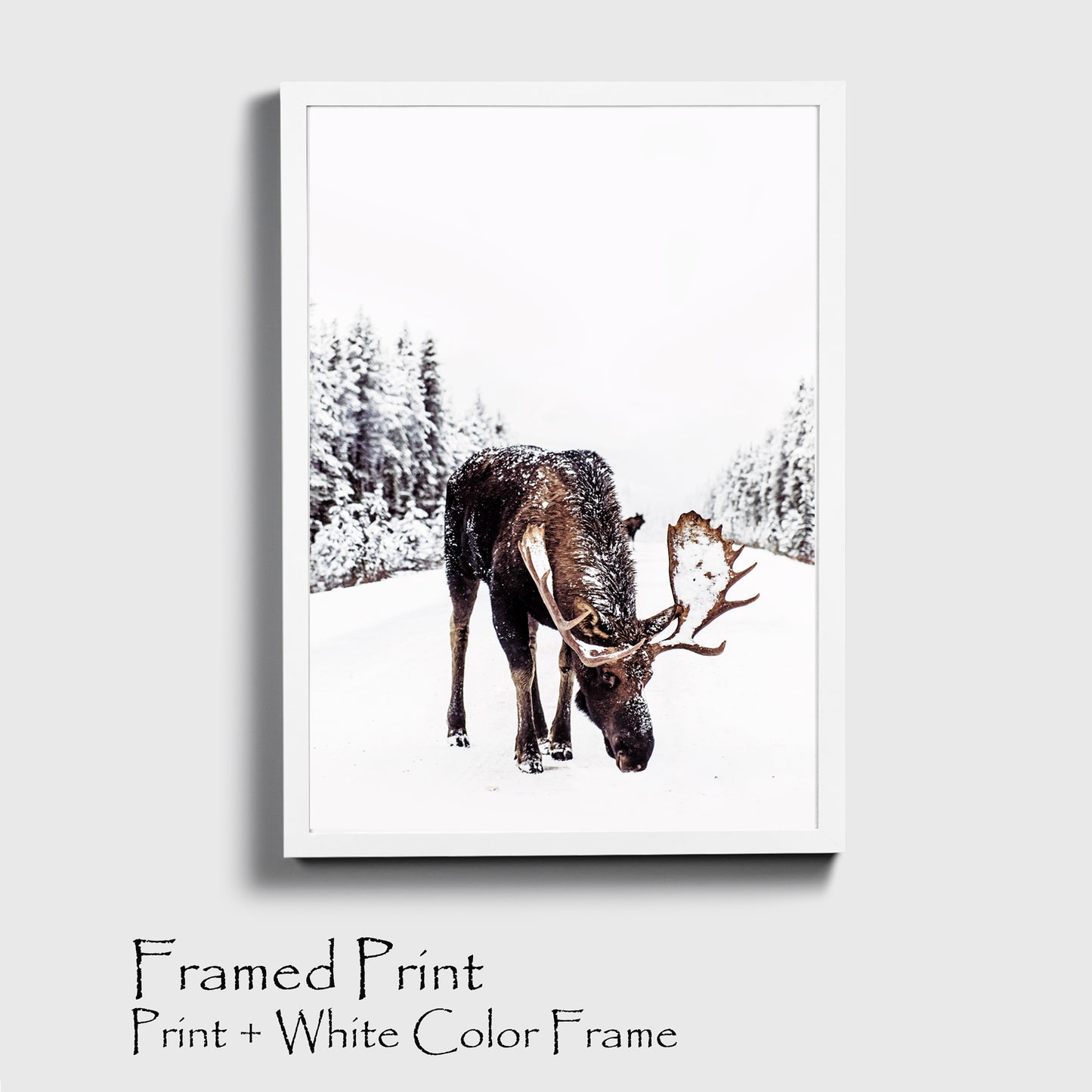 Elk poster in white color frame.