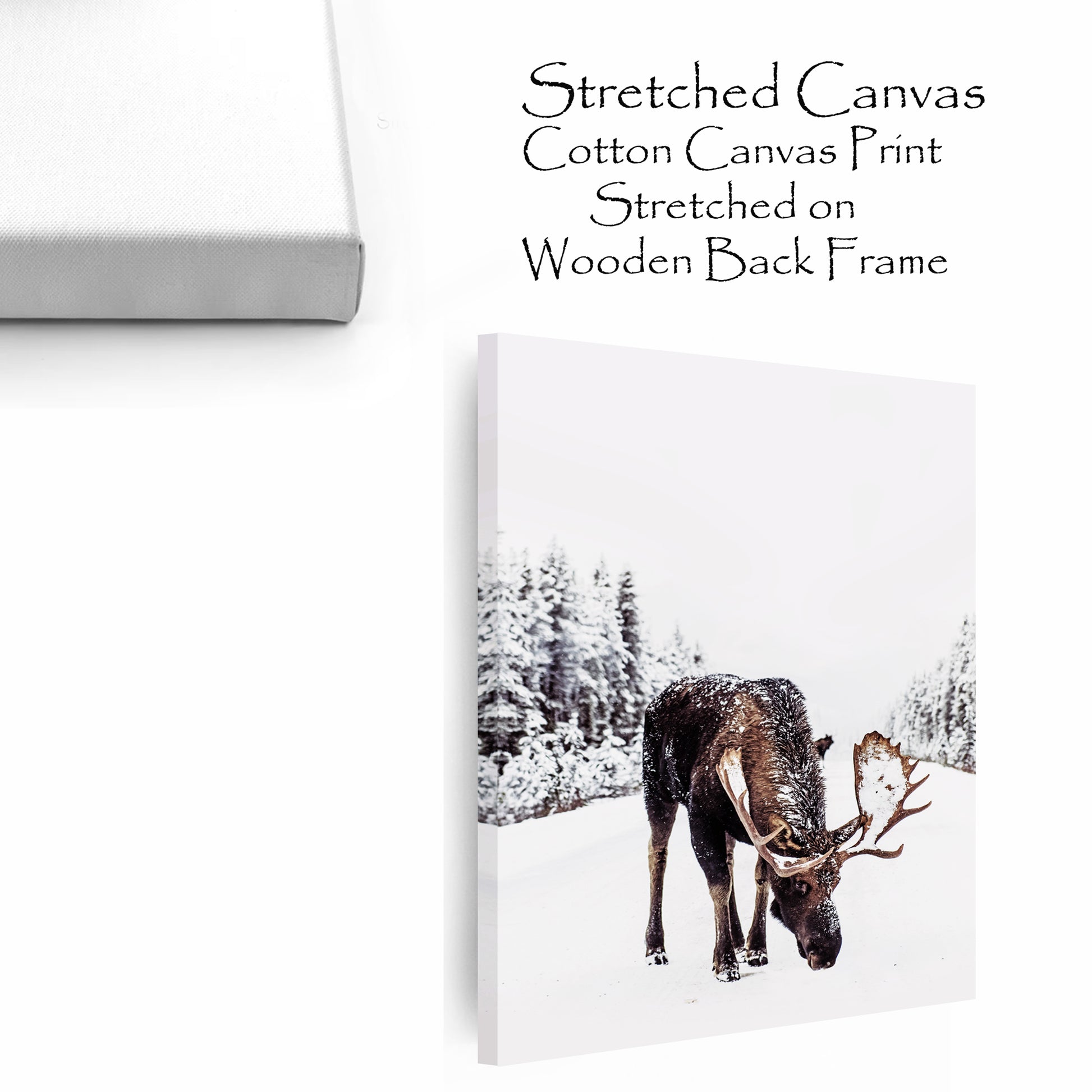 Elk canvas stretched over an internal frame.